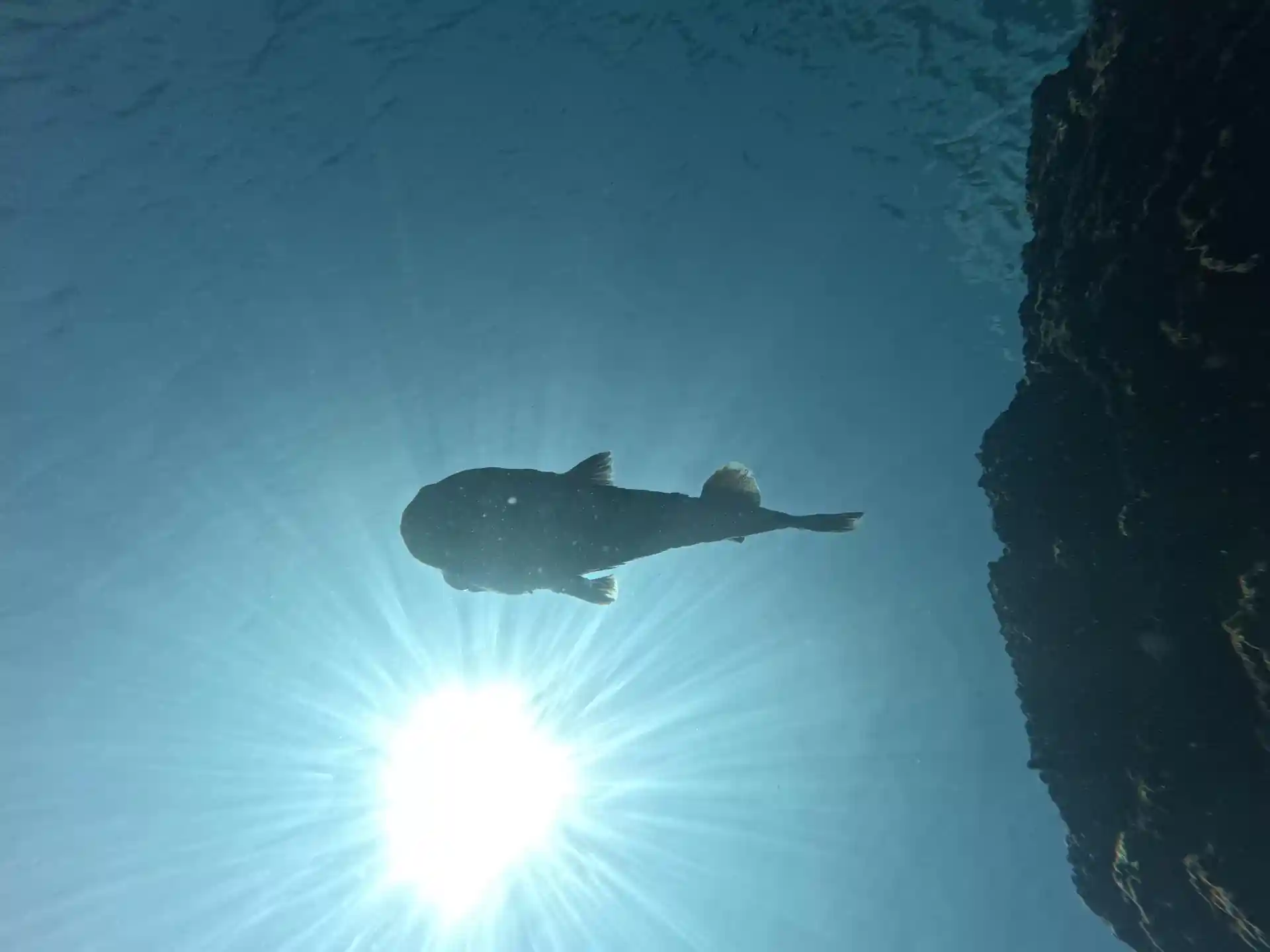 Dive shop photo