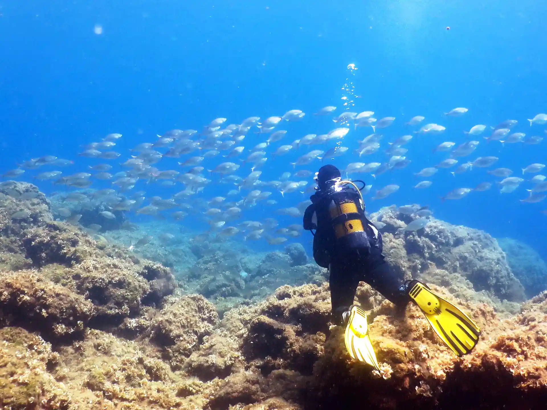 Dive site photo