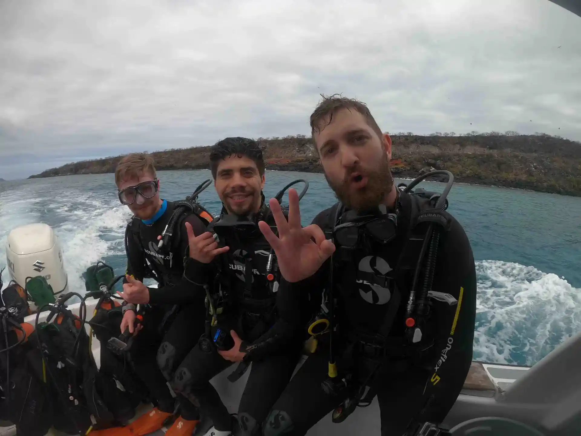 Let's go diving