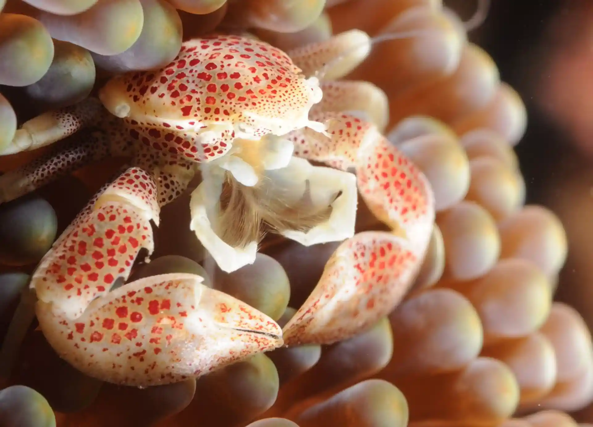 다이빙 포인트 사진