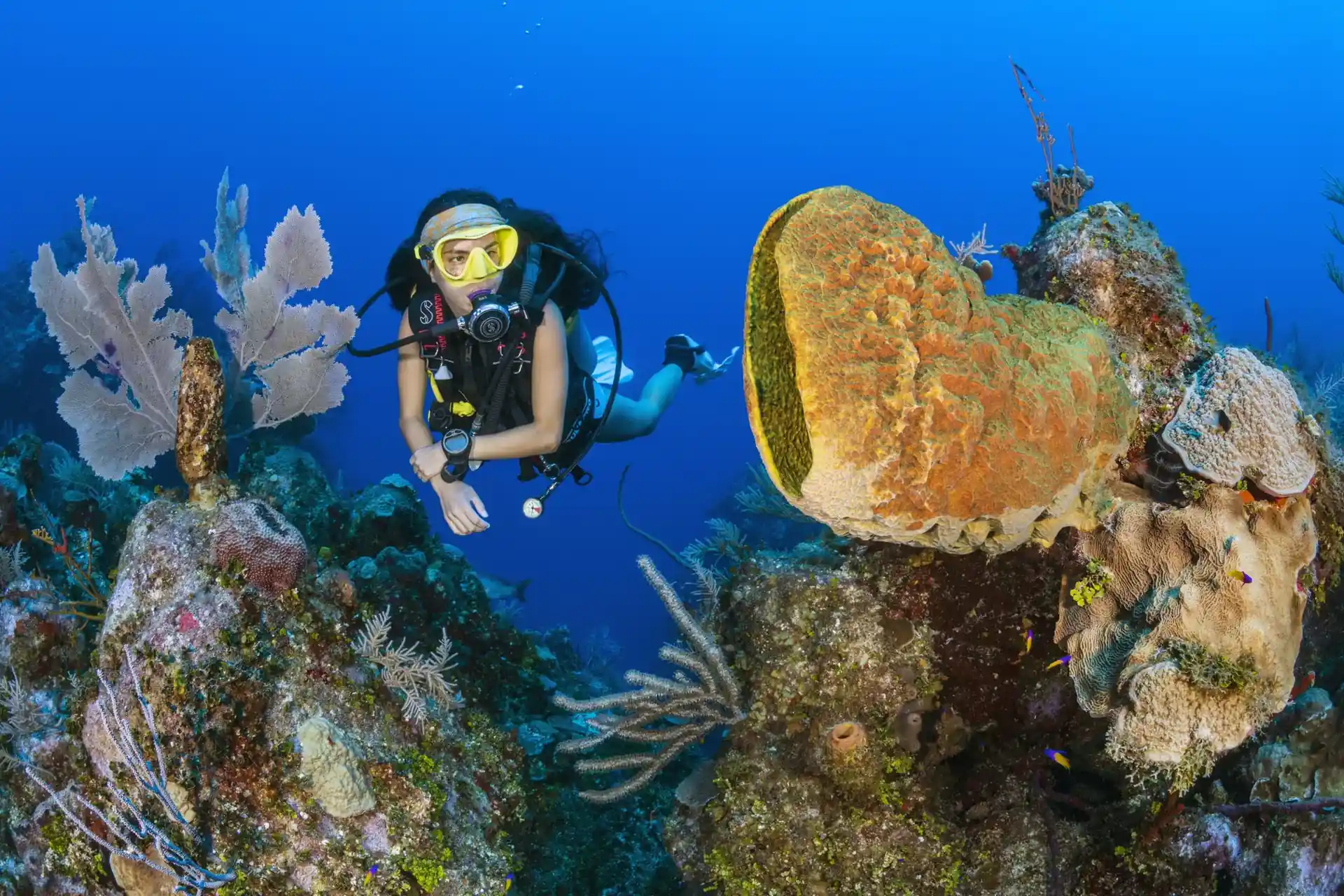 Dive site photo