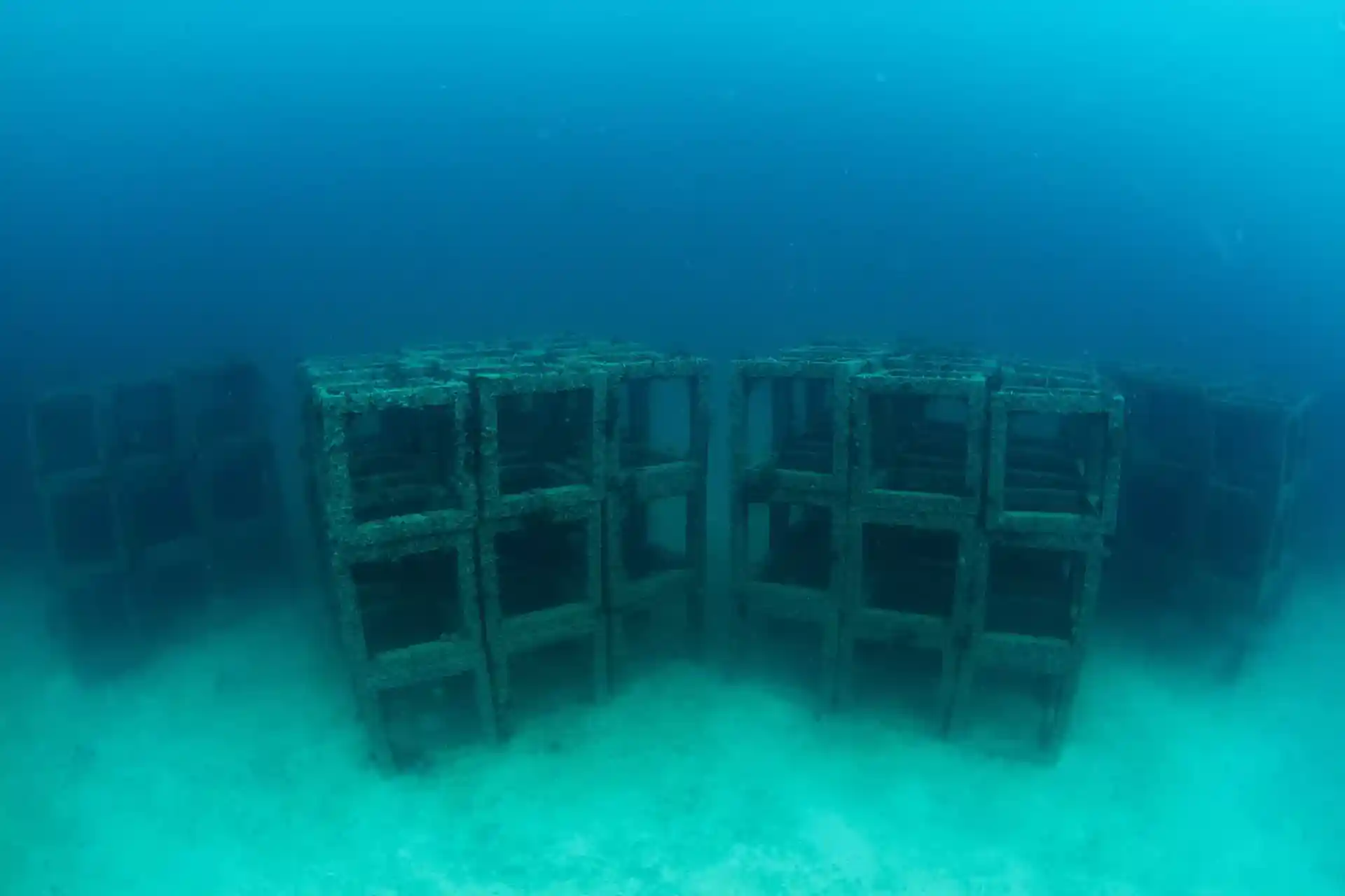 Dive site photo