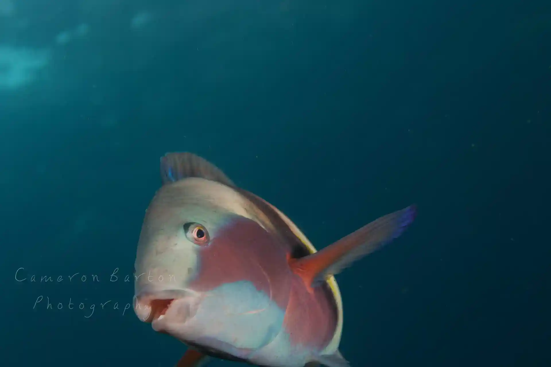 Dive site photo