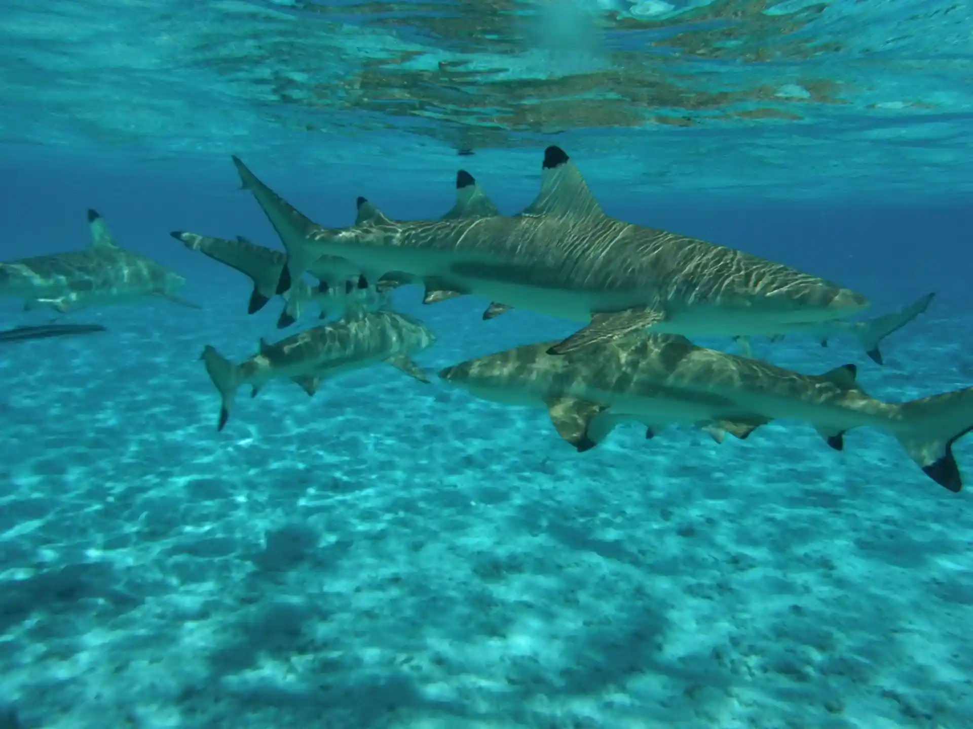 Dive site photo