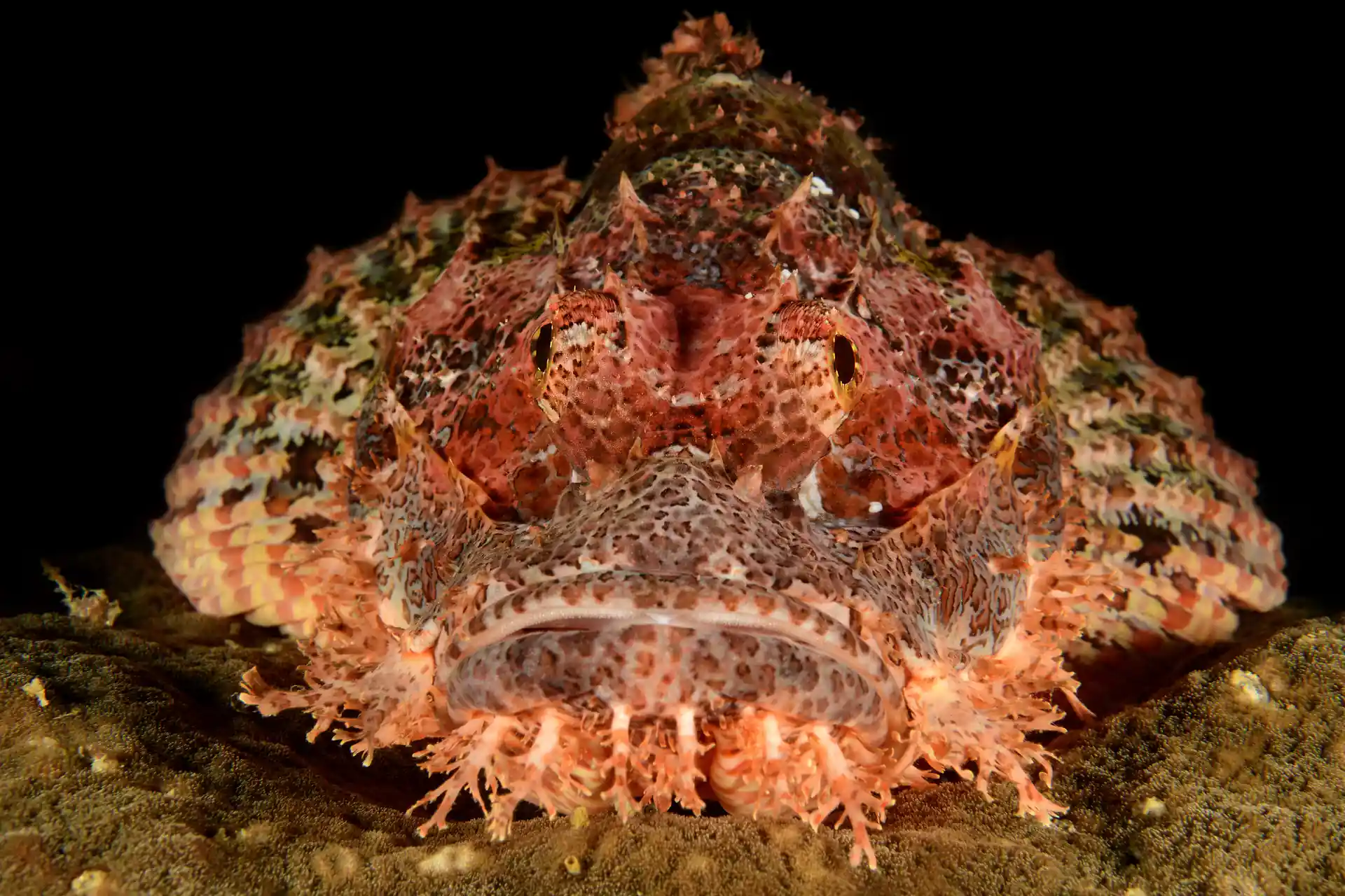 Dive shop photo