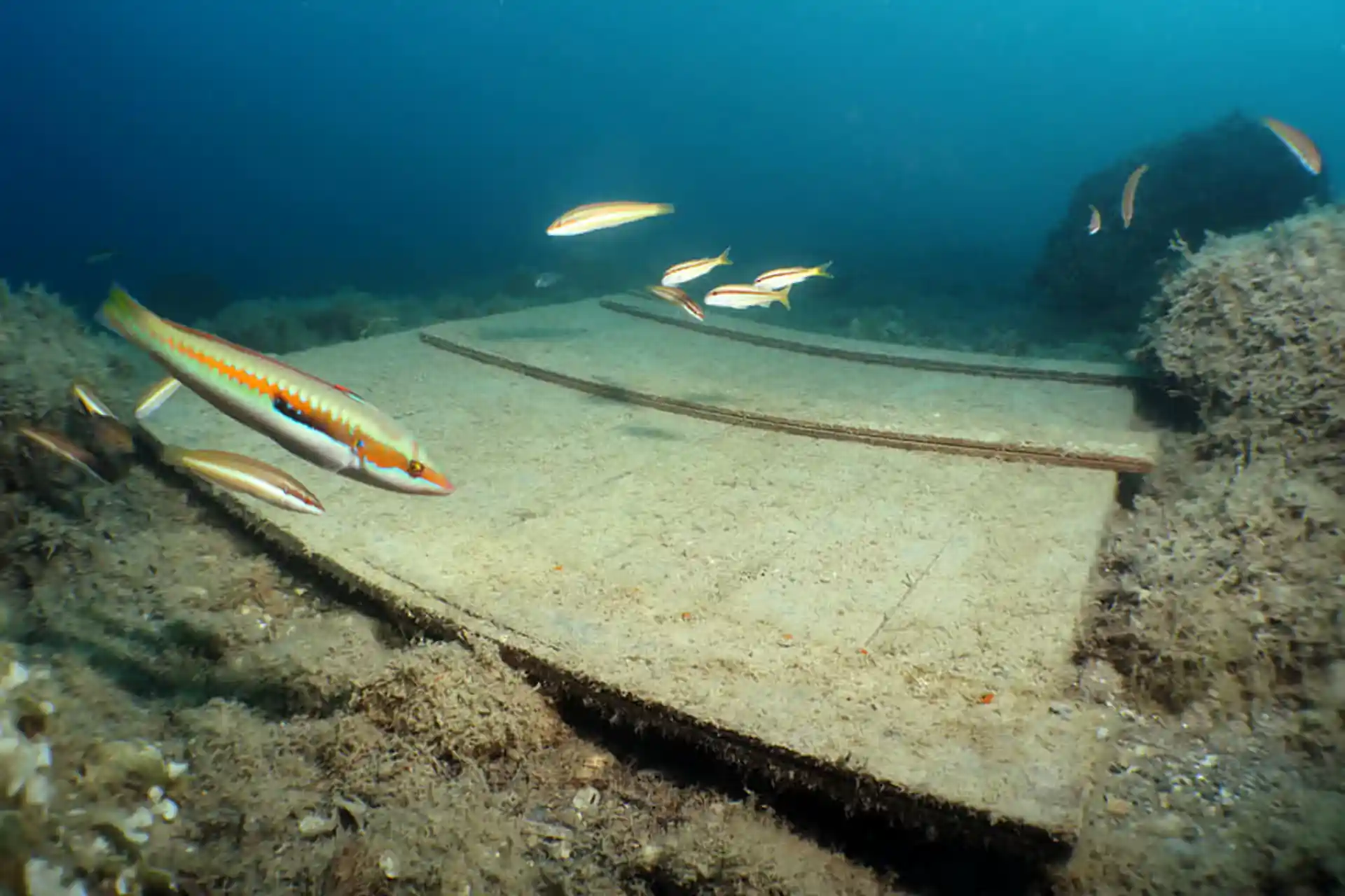 Dive site photo