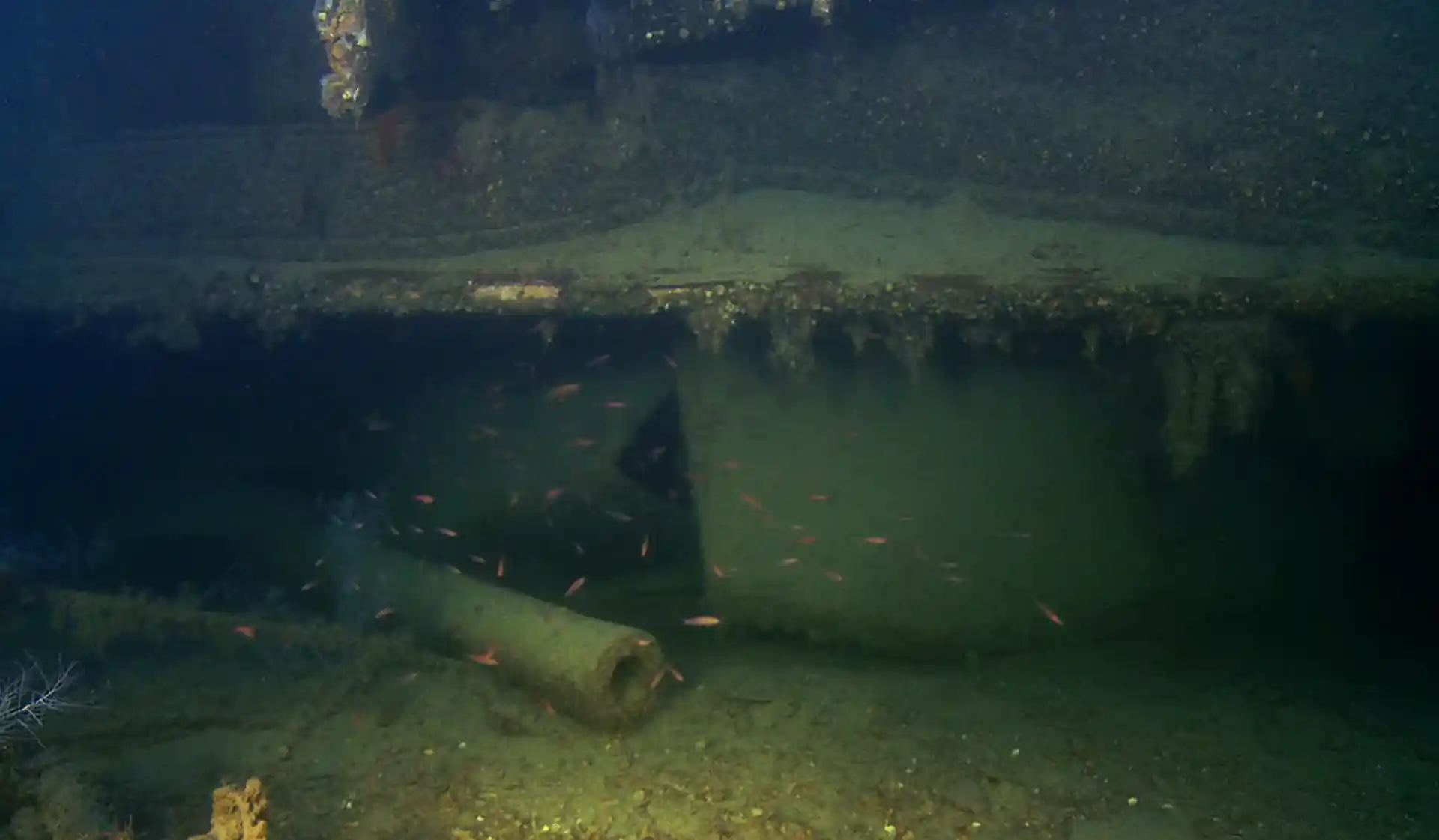 Dive site photo
