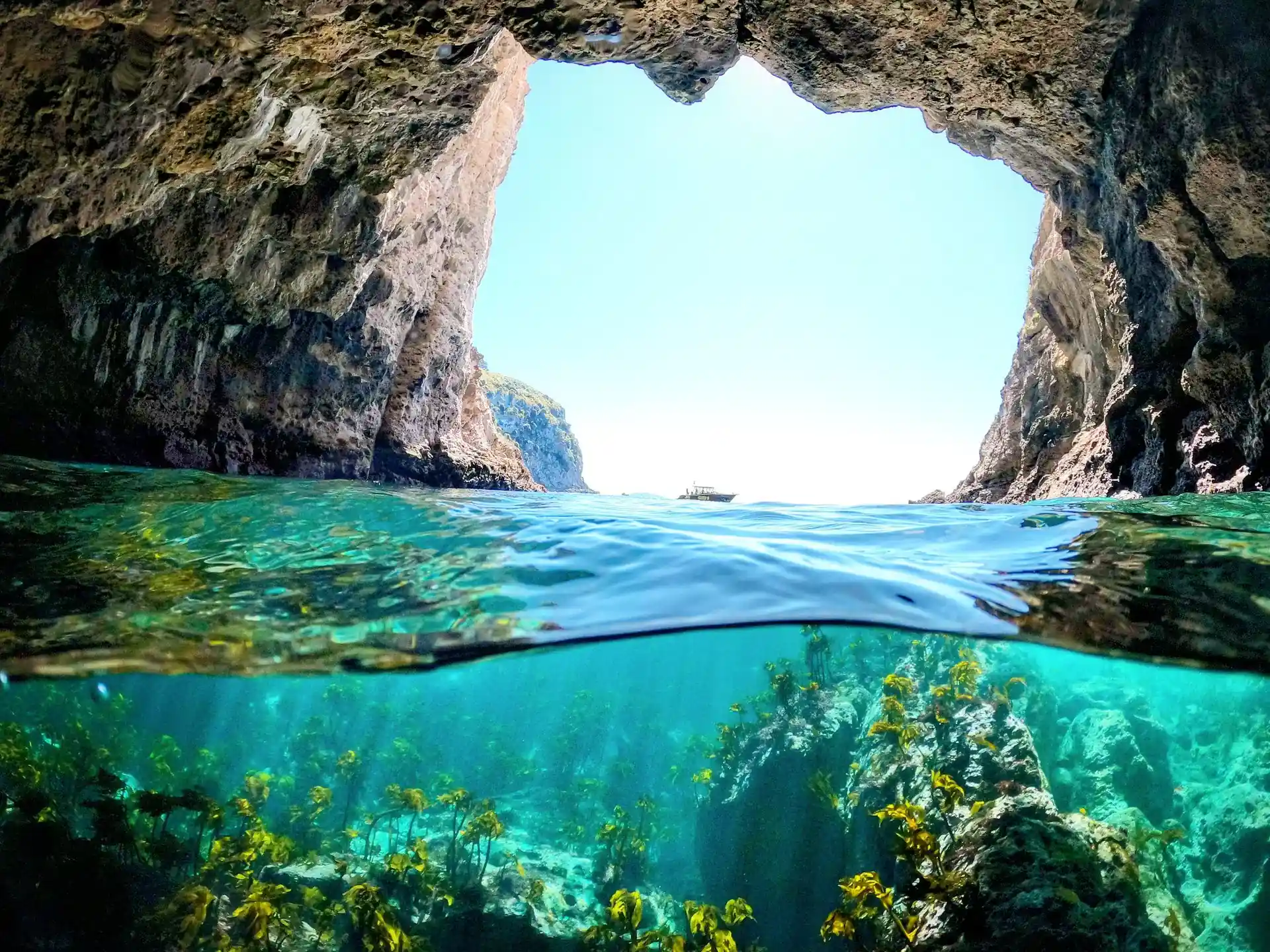 Dive shop photo