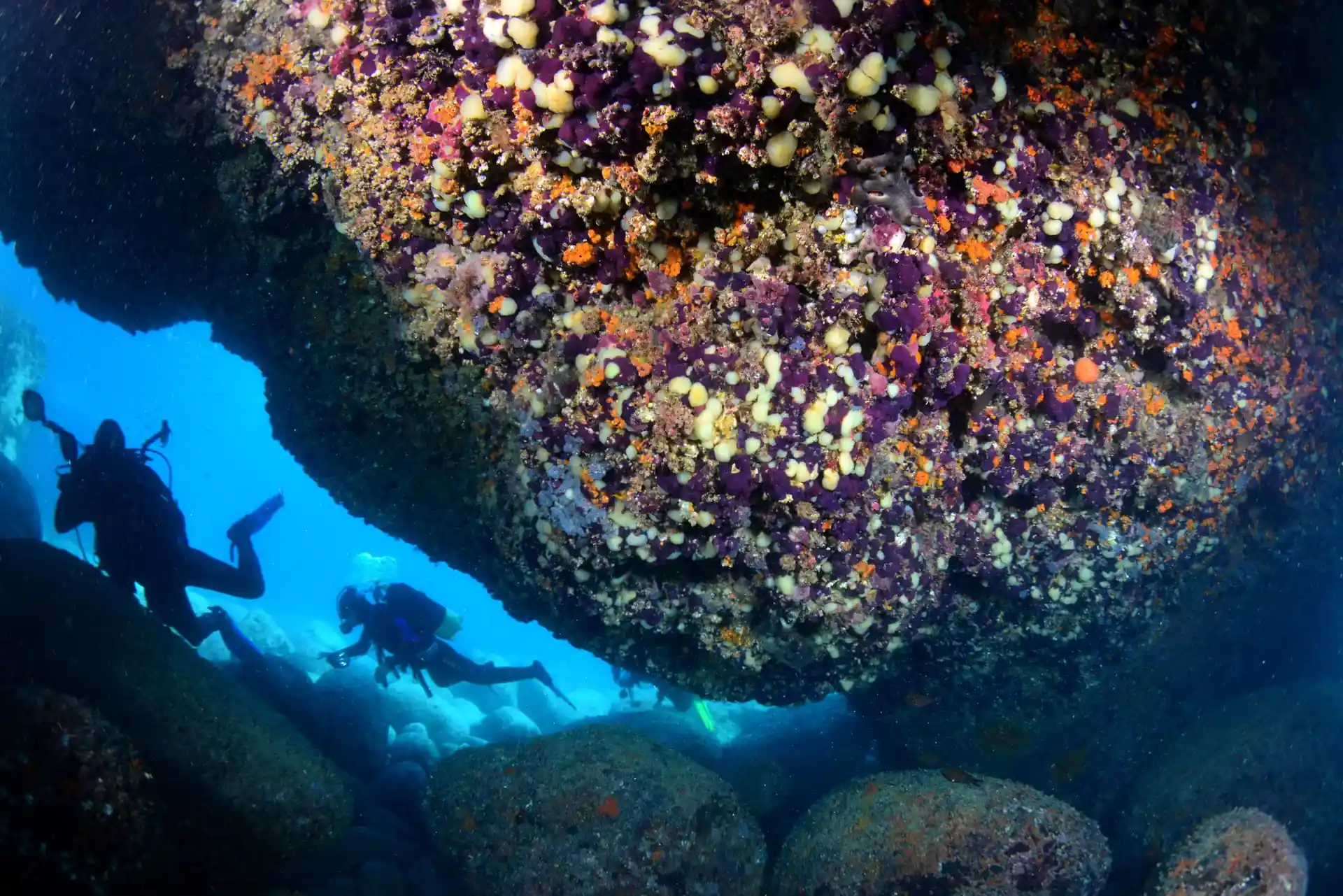 Dive site photo