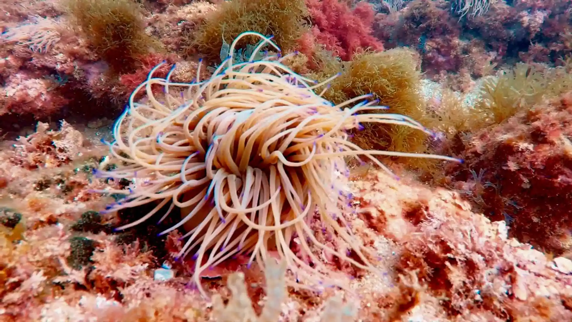 Dive site photo