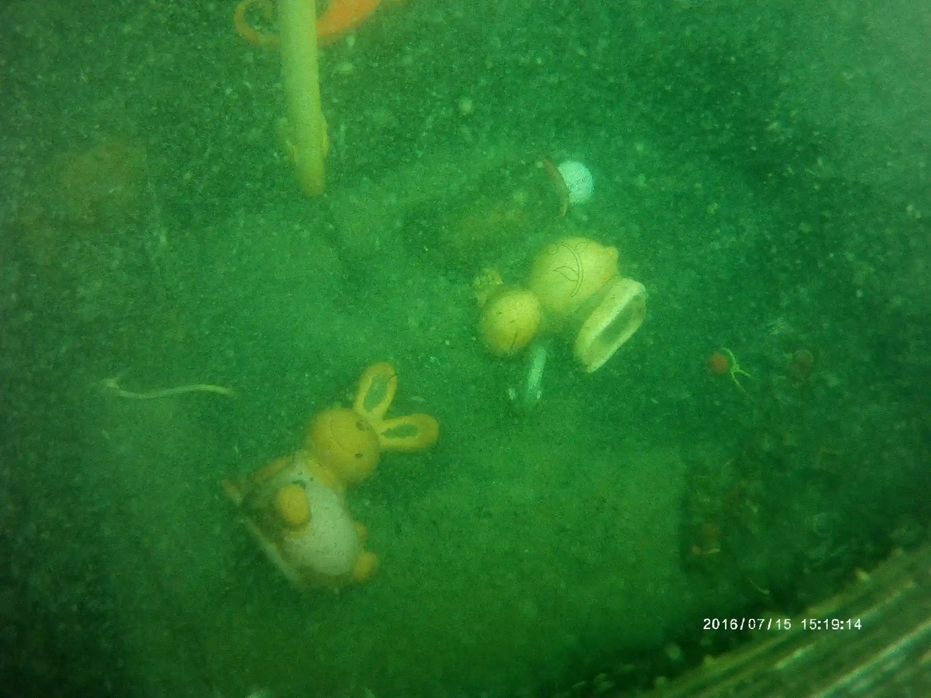 다이빙 포인트 사진