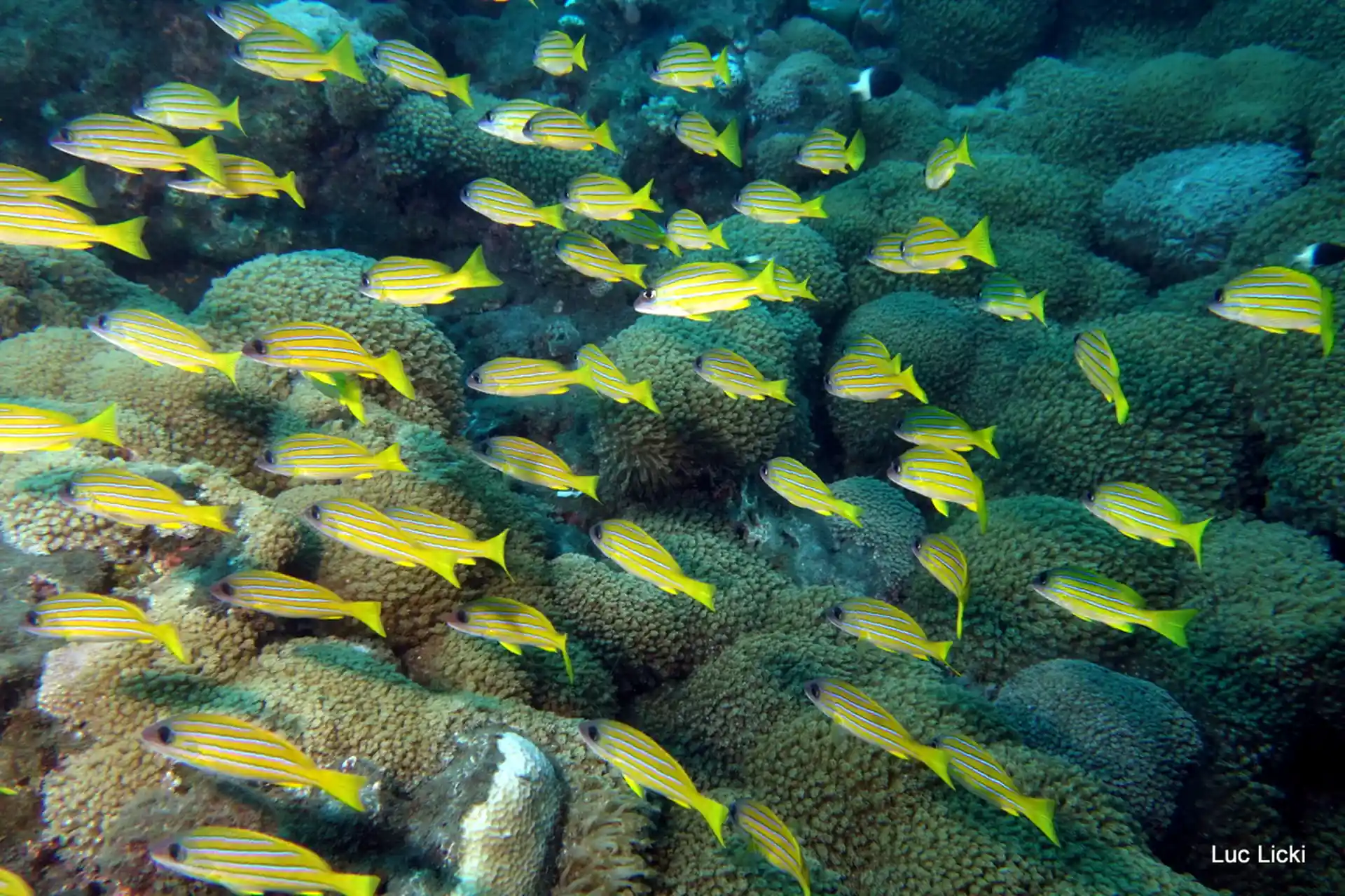 Photo de l'activité