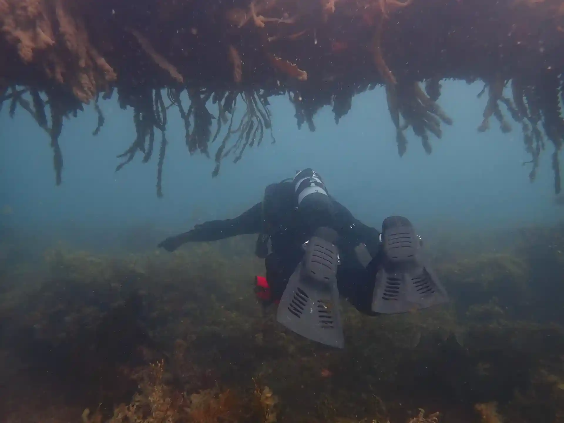 Dive site photo