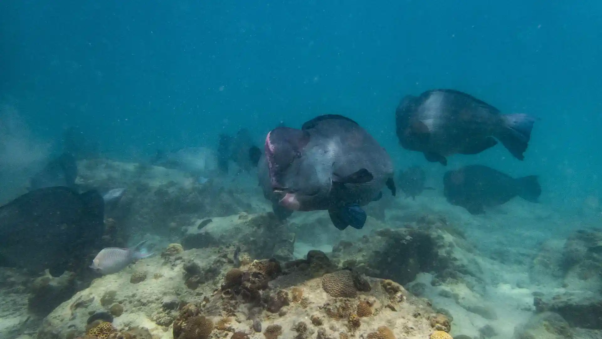 Foto van de duiklocatie