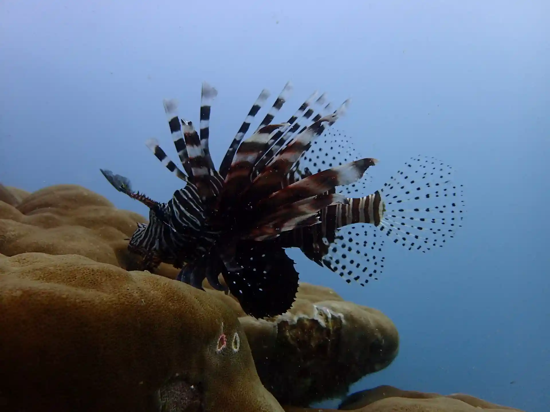 Dive site photo