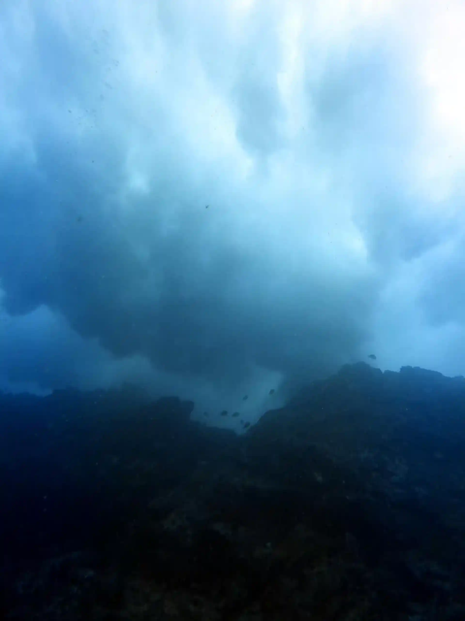 다이빙 포인트 사진