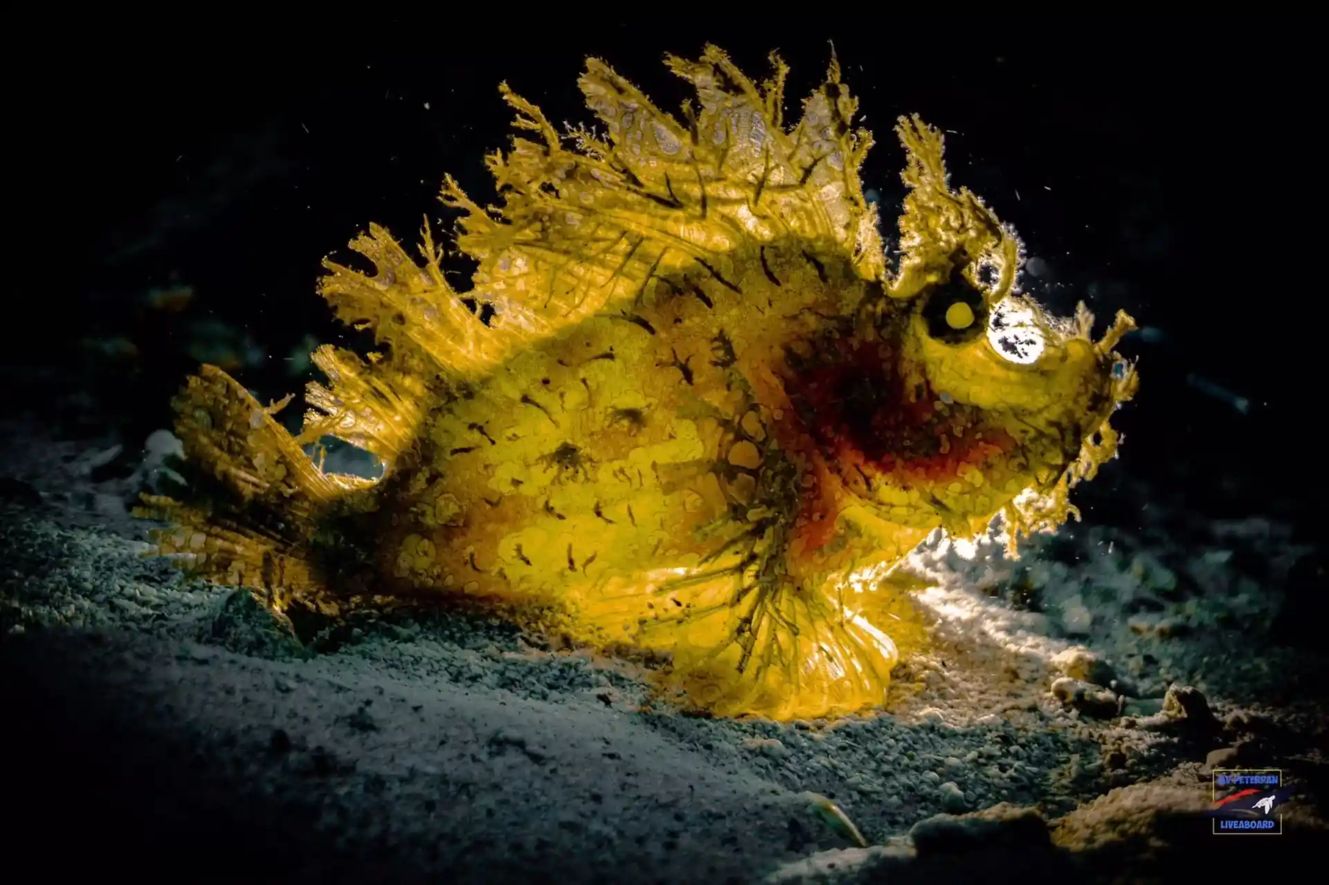 Dive shop photo