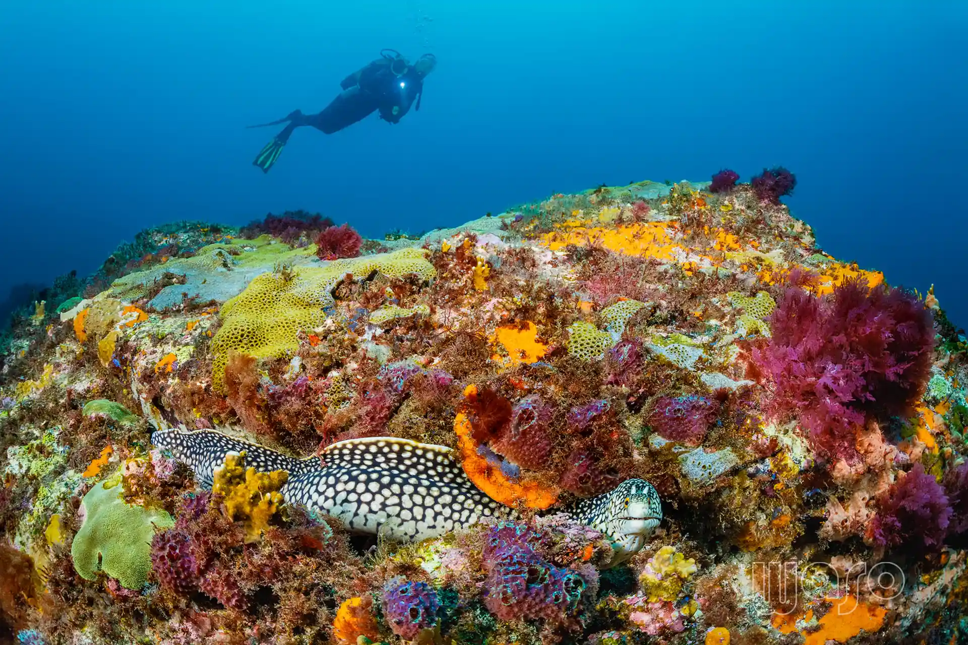Dive site photo