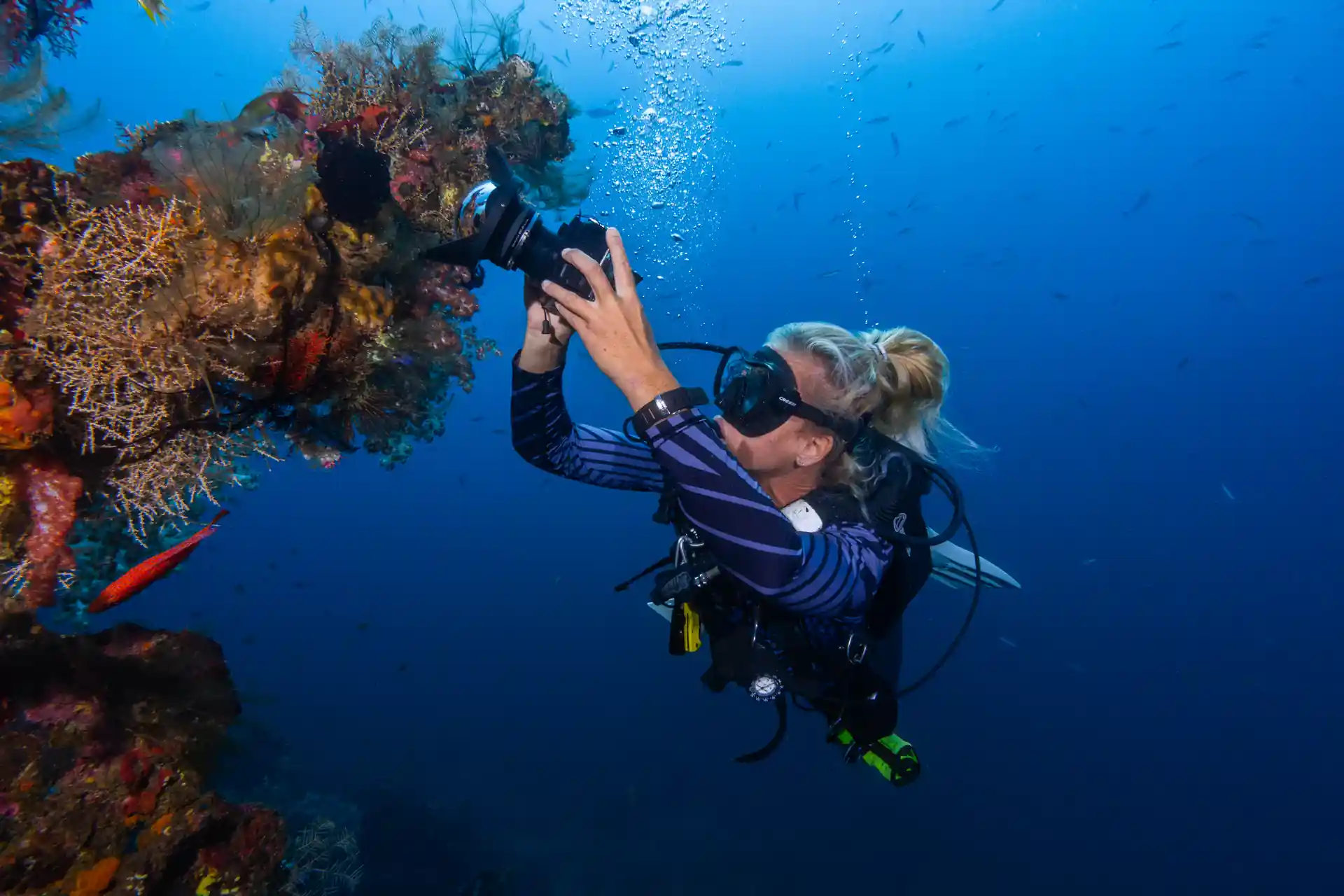 Photo de l'activité