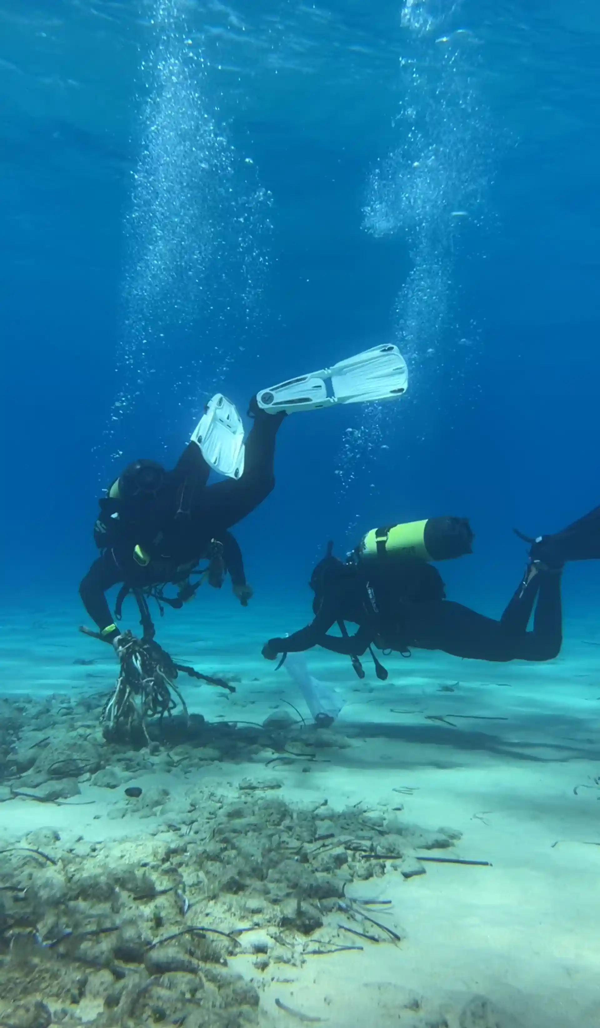 Photo de l'activité