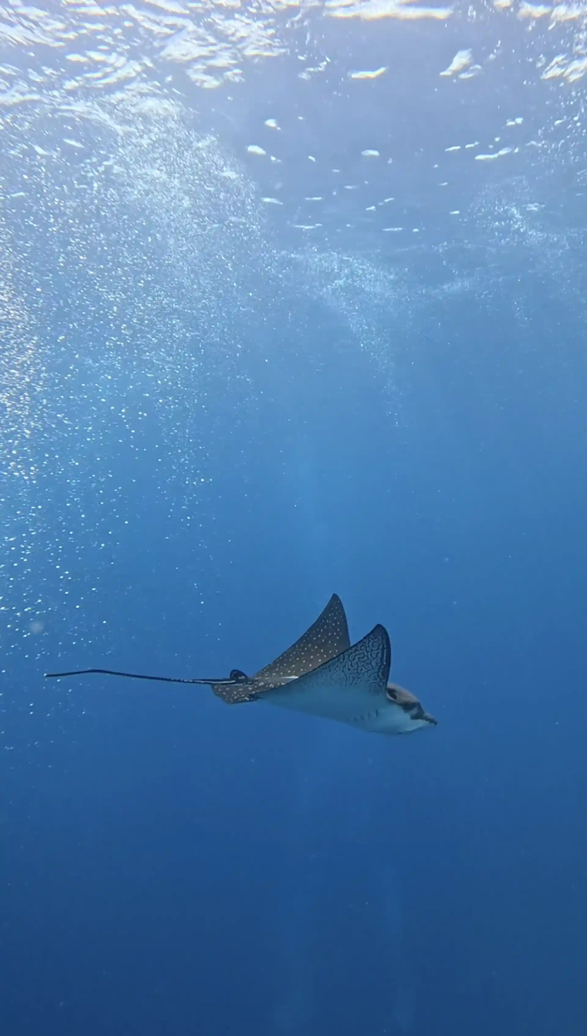 ダイビングショップの写真