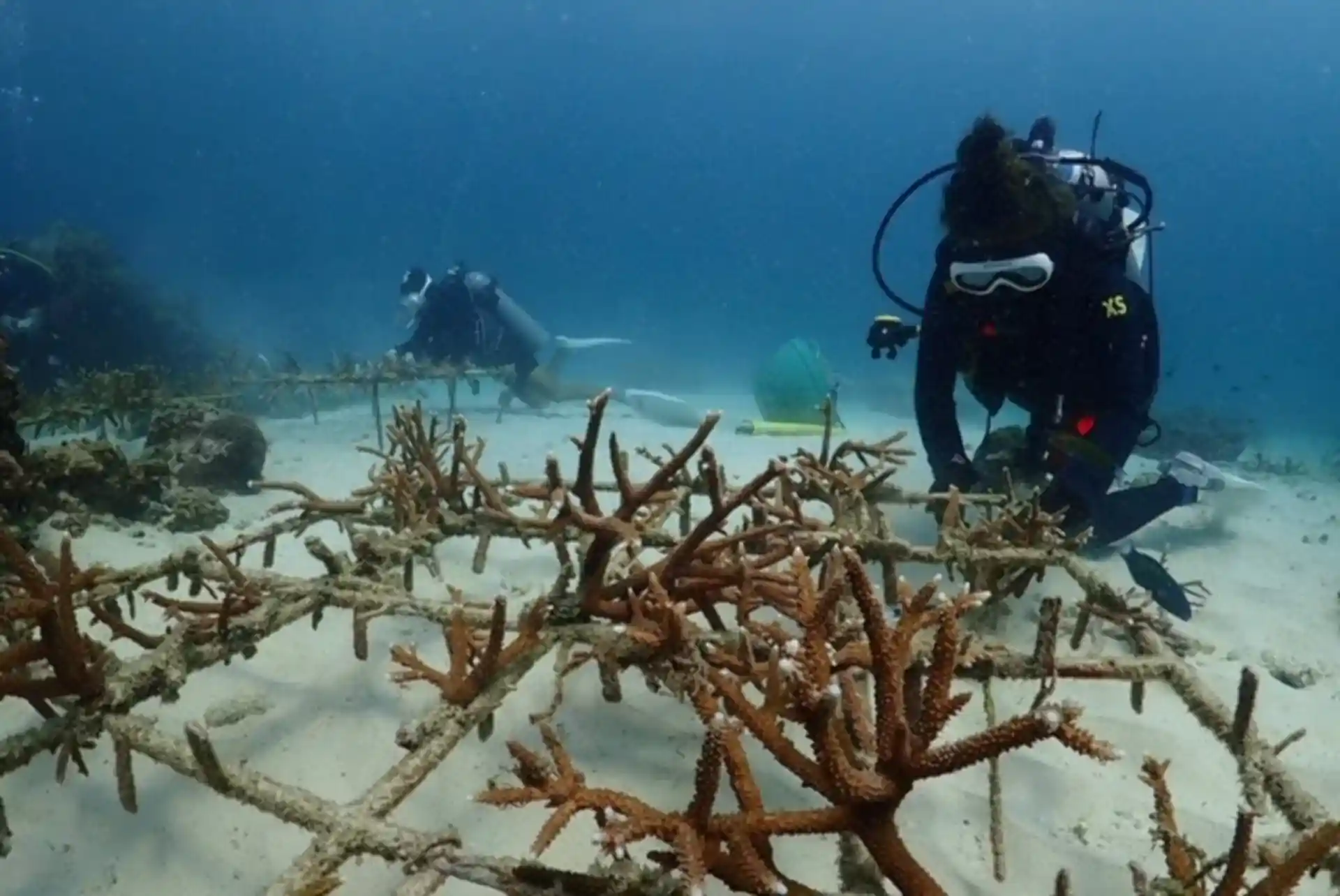 다이빙 포인트 사진