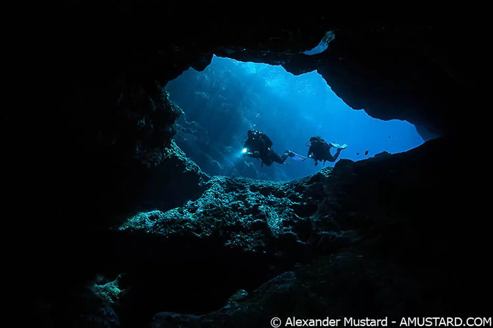 Dive site photo