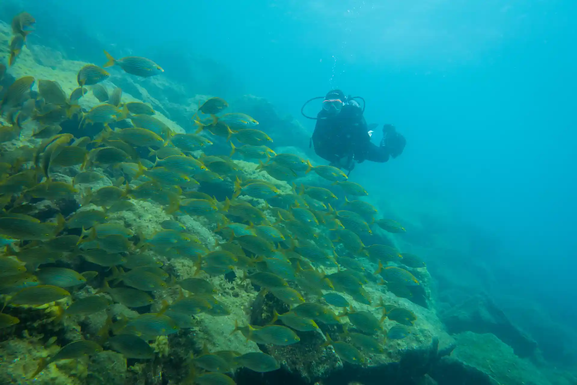 Foto de la actividad