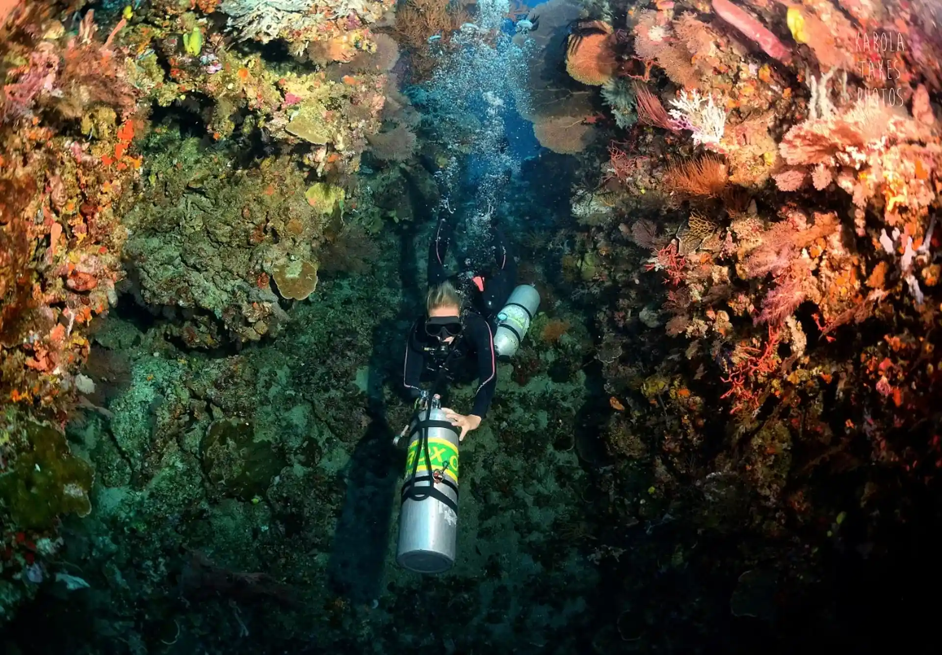 Dive site photo