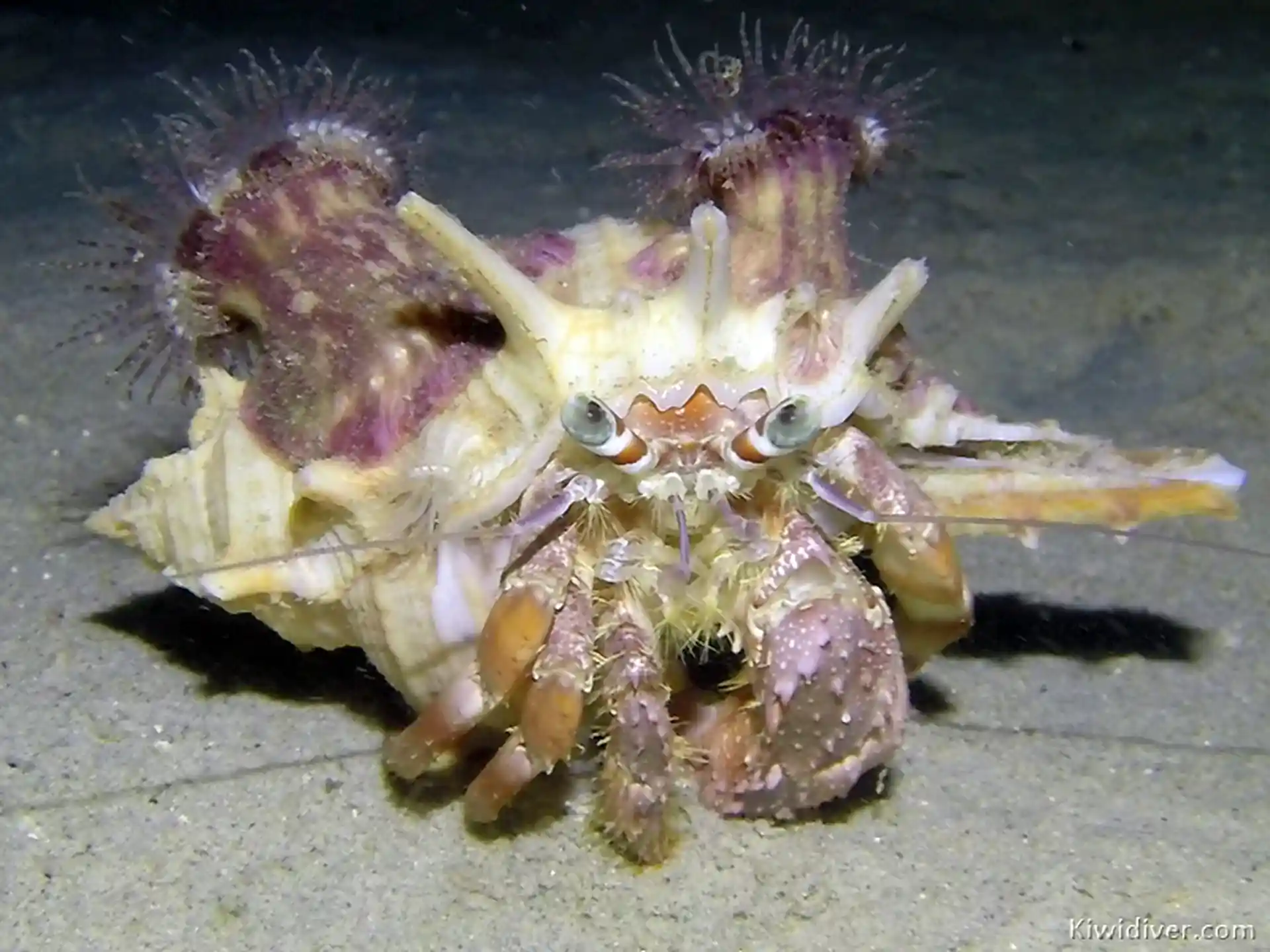 Dive site photo