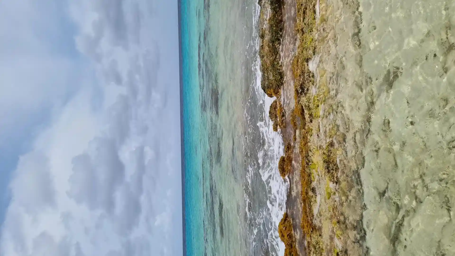 Dive site photo