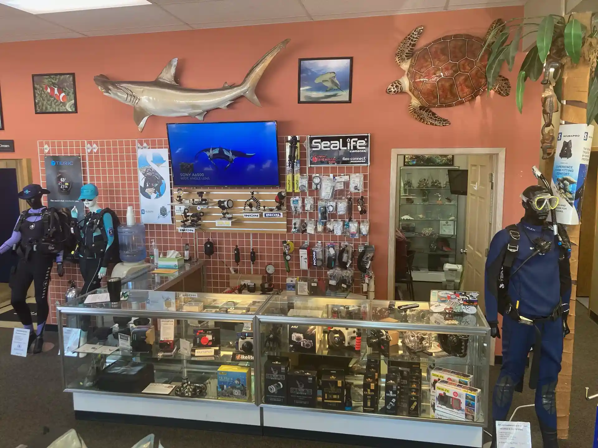 Dive shop photo