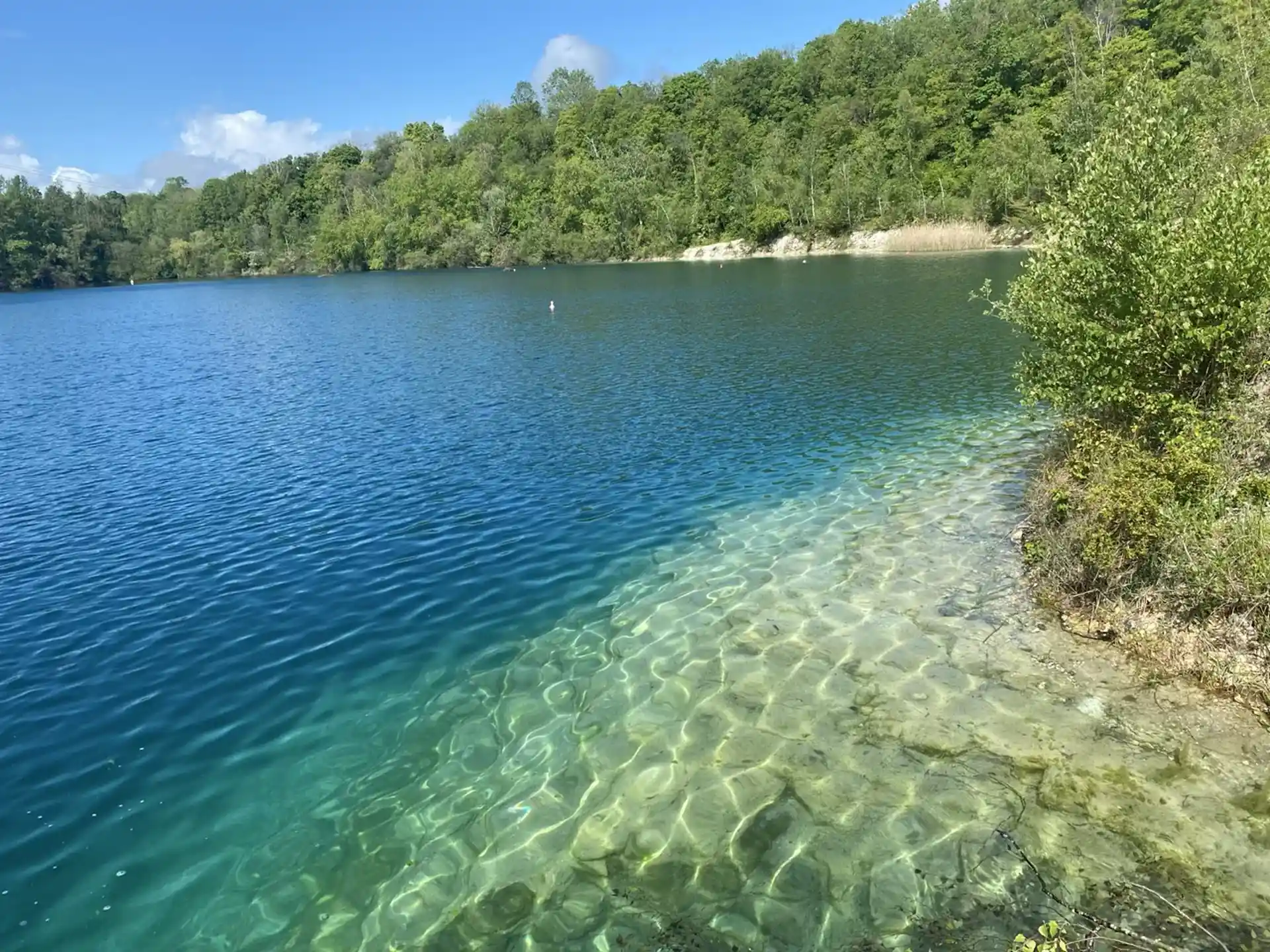 Photo du site de plongée