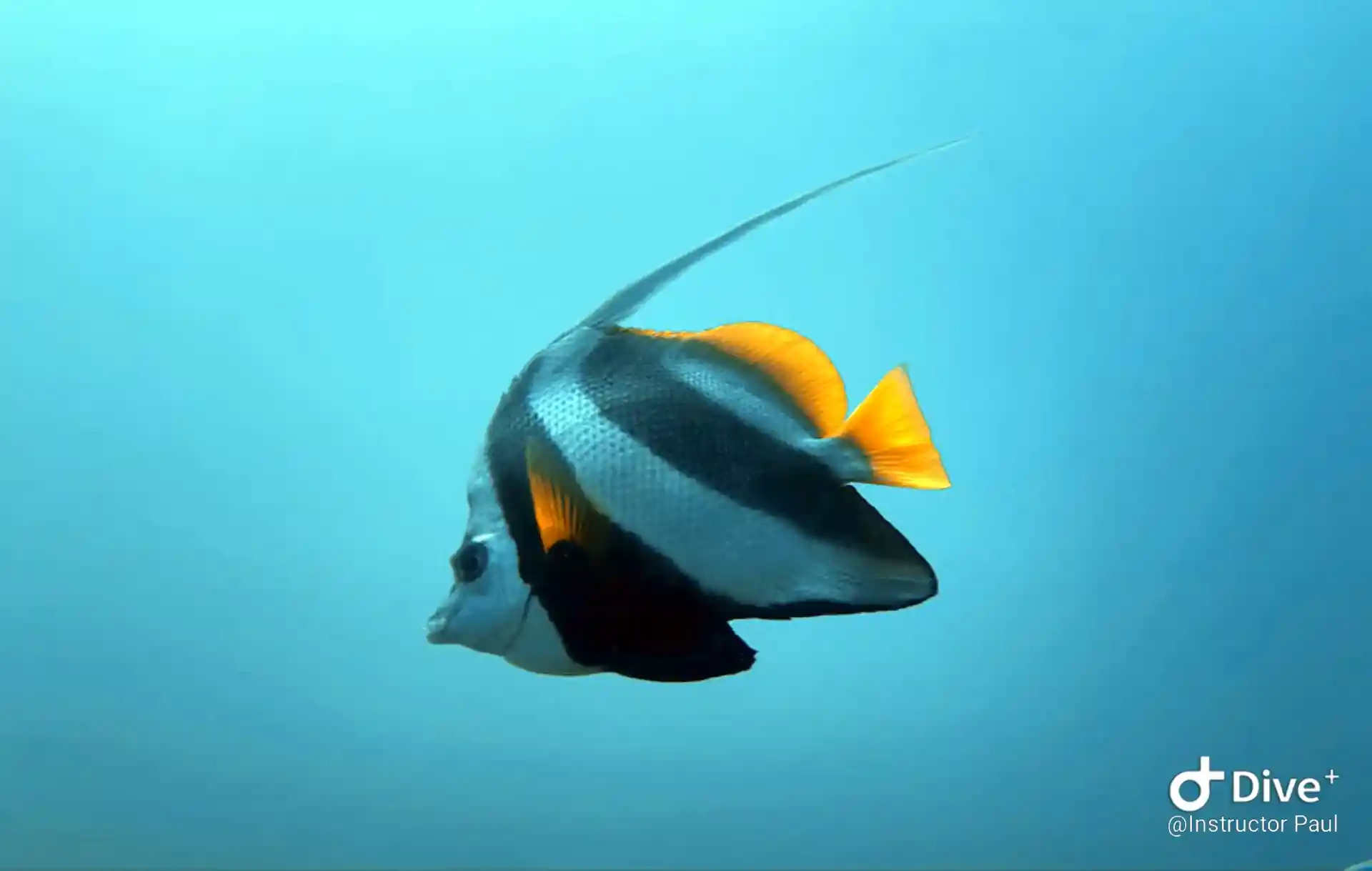 Dive site photo