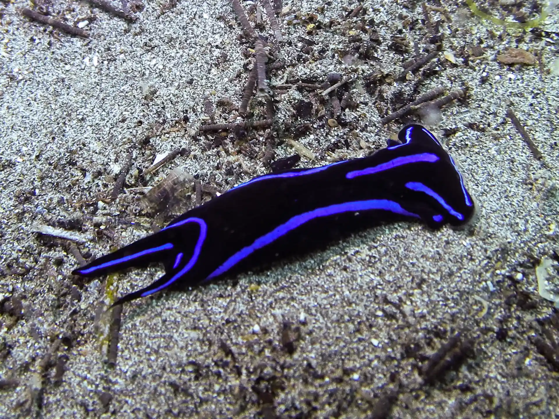 Dive site photo