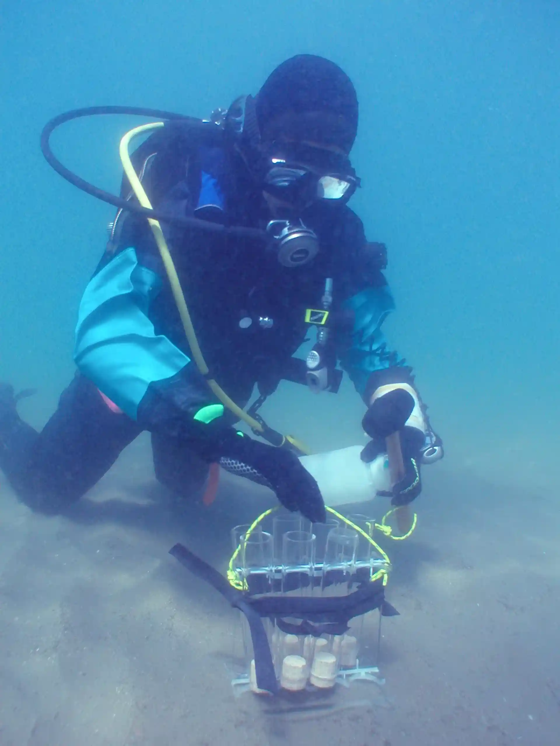 Muestreo de sedimento