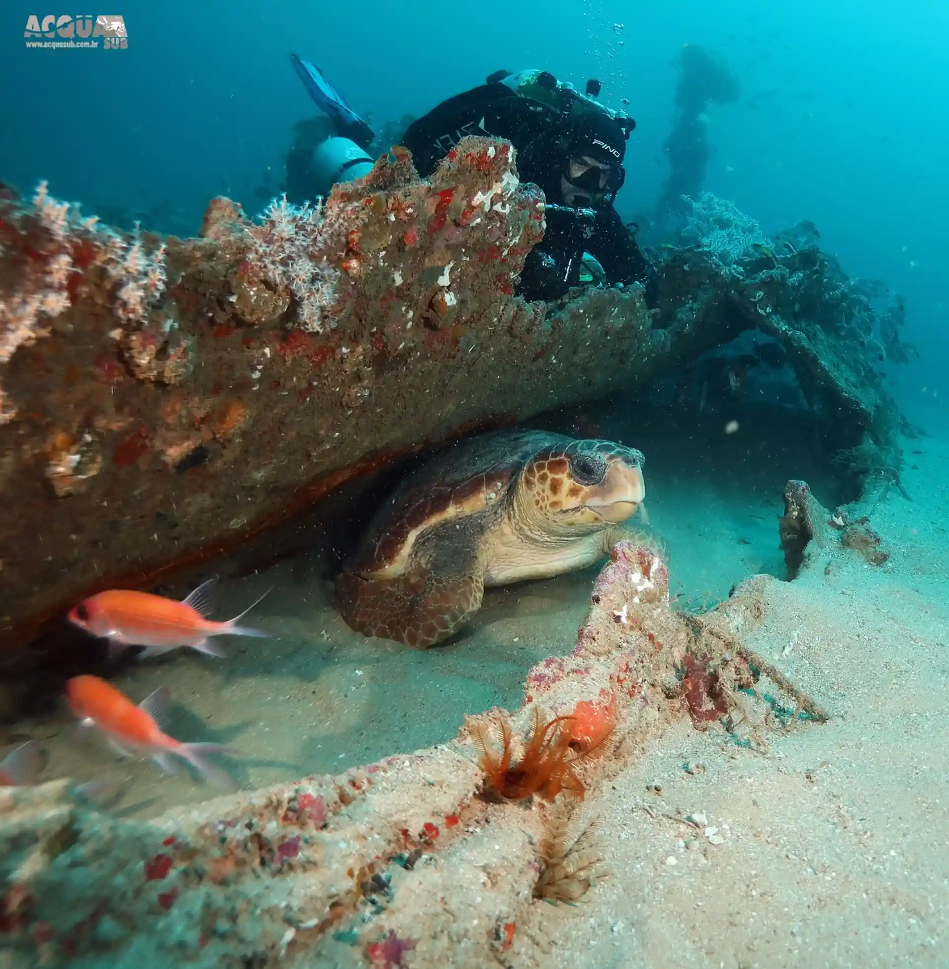 Dive site photo