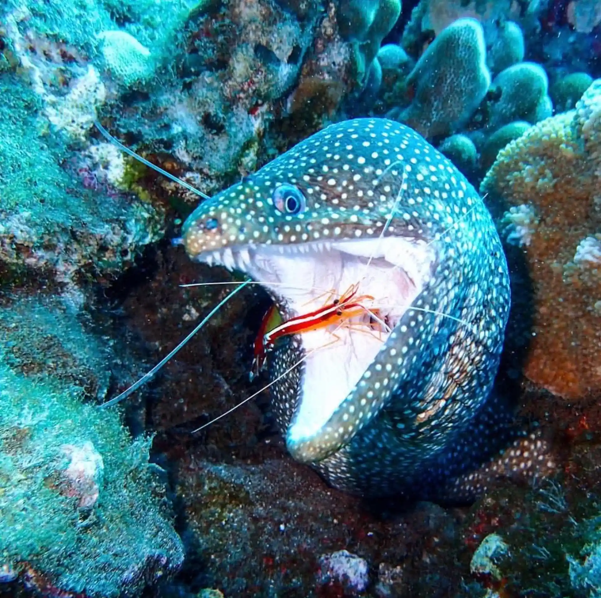 Dive site photo