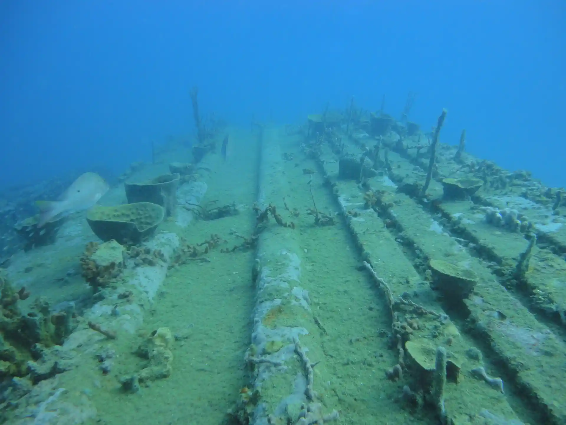 Foto de la actividad