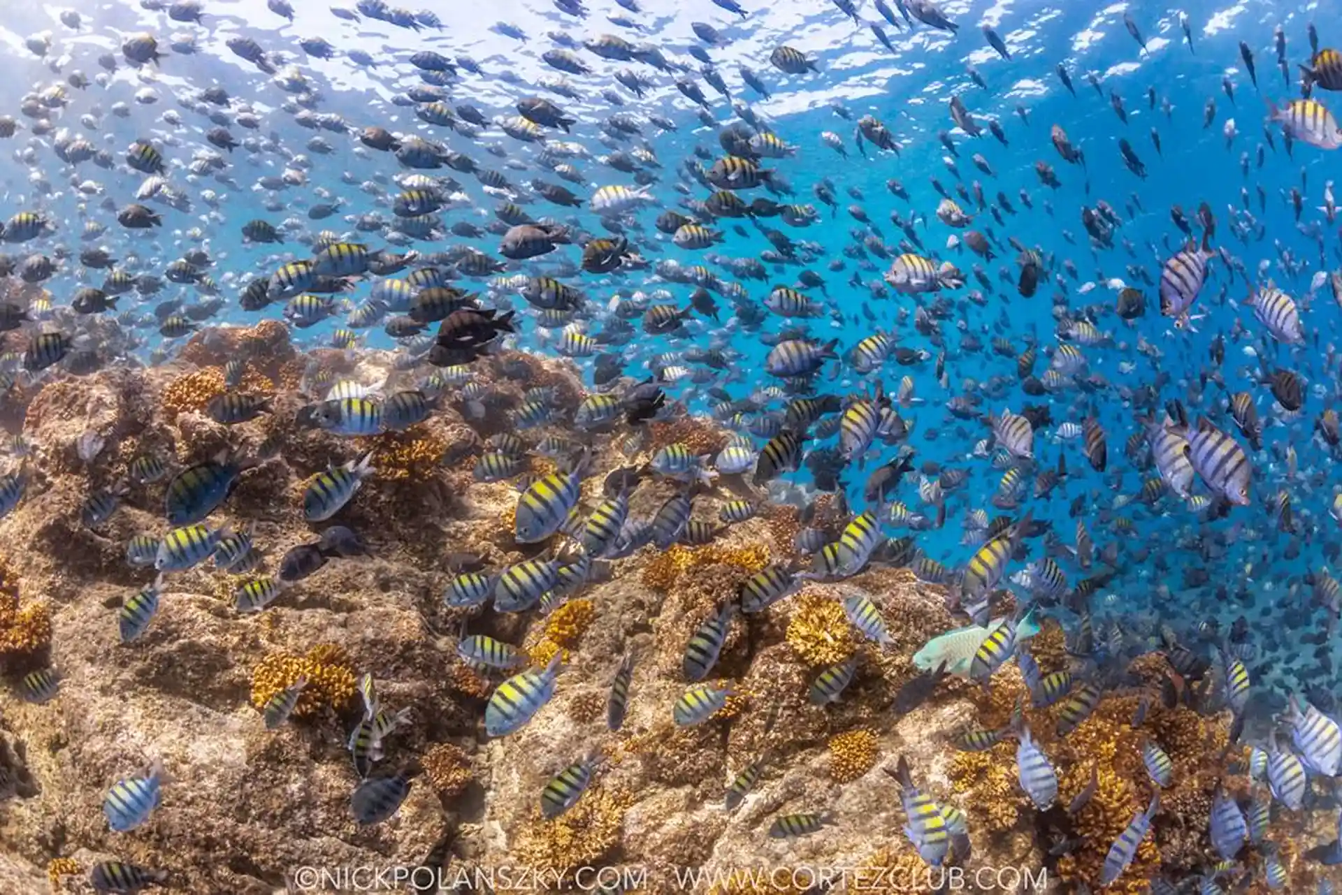 Foto de la actividad