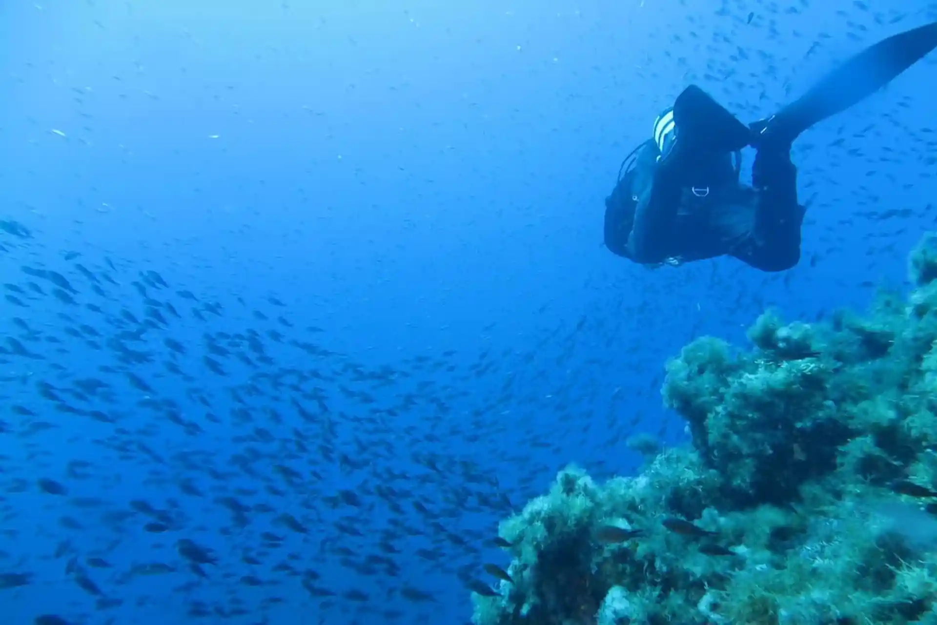 Dive shop photo