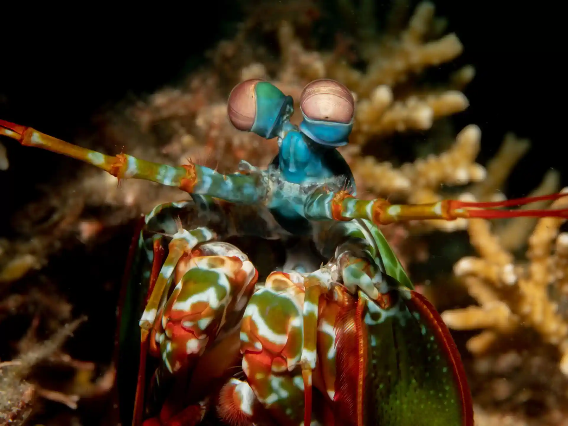 Foto des Tauchplatzes