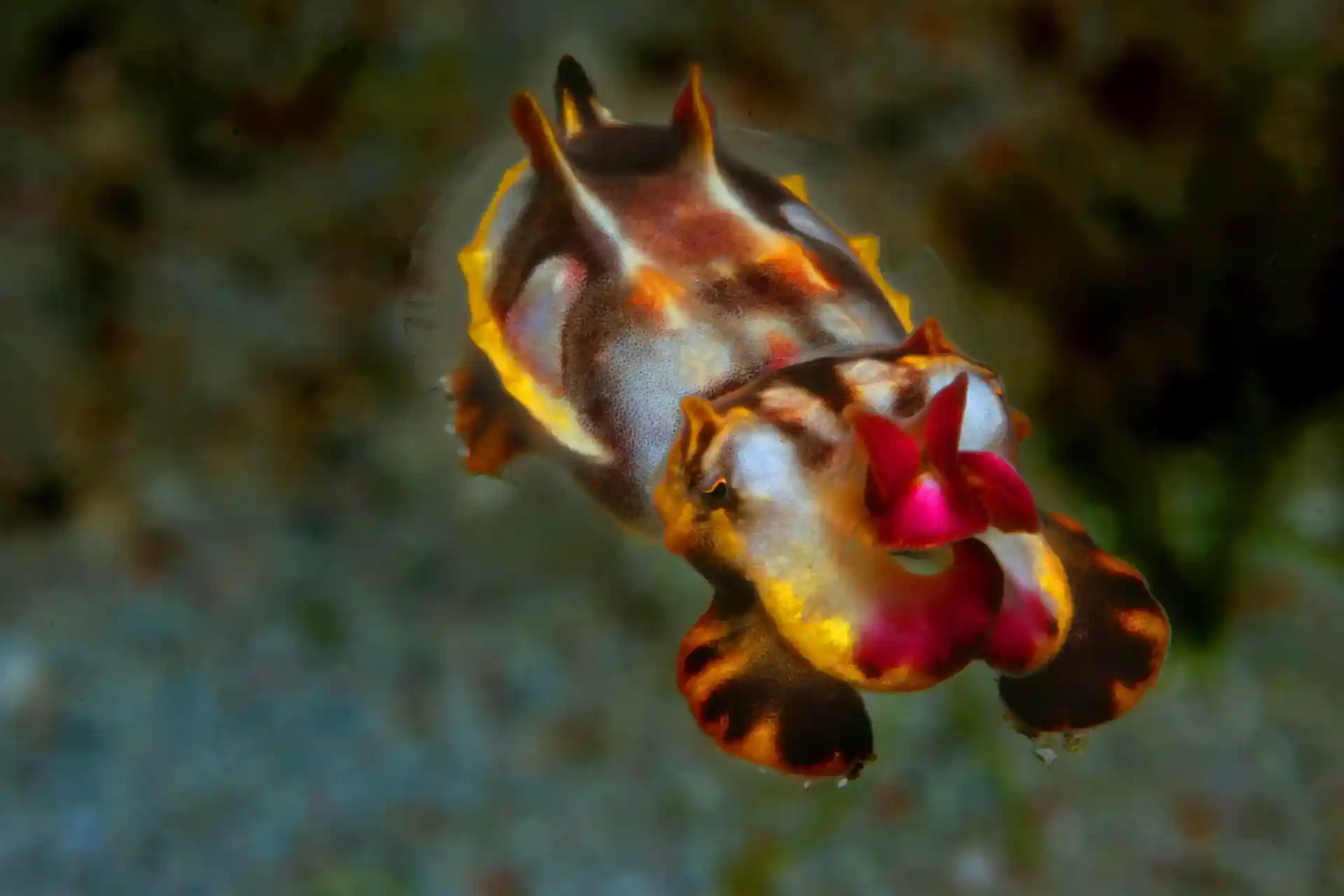 Foto des Tauchplatzes