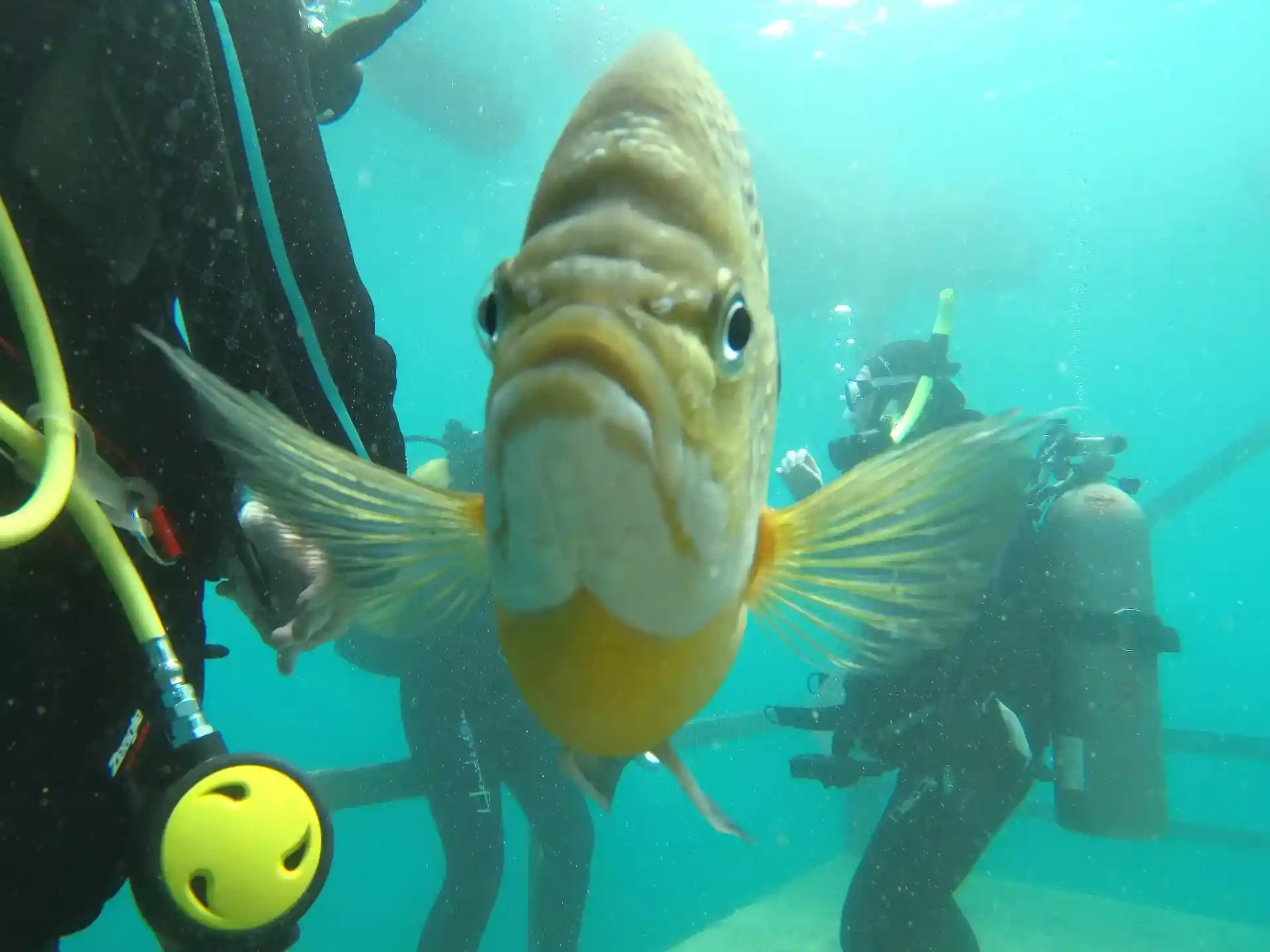 다이빙 포인트 사진