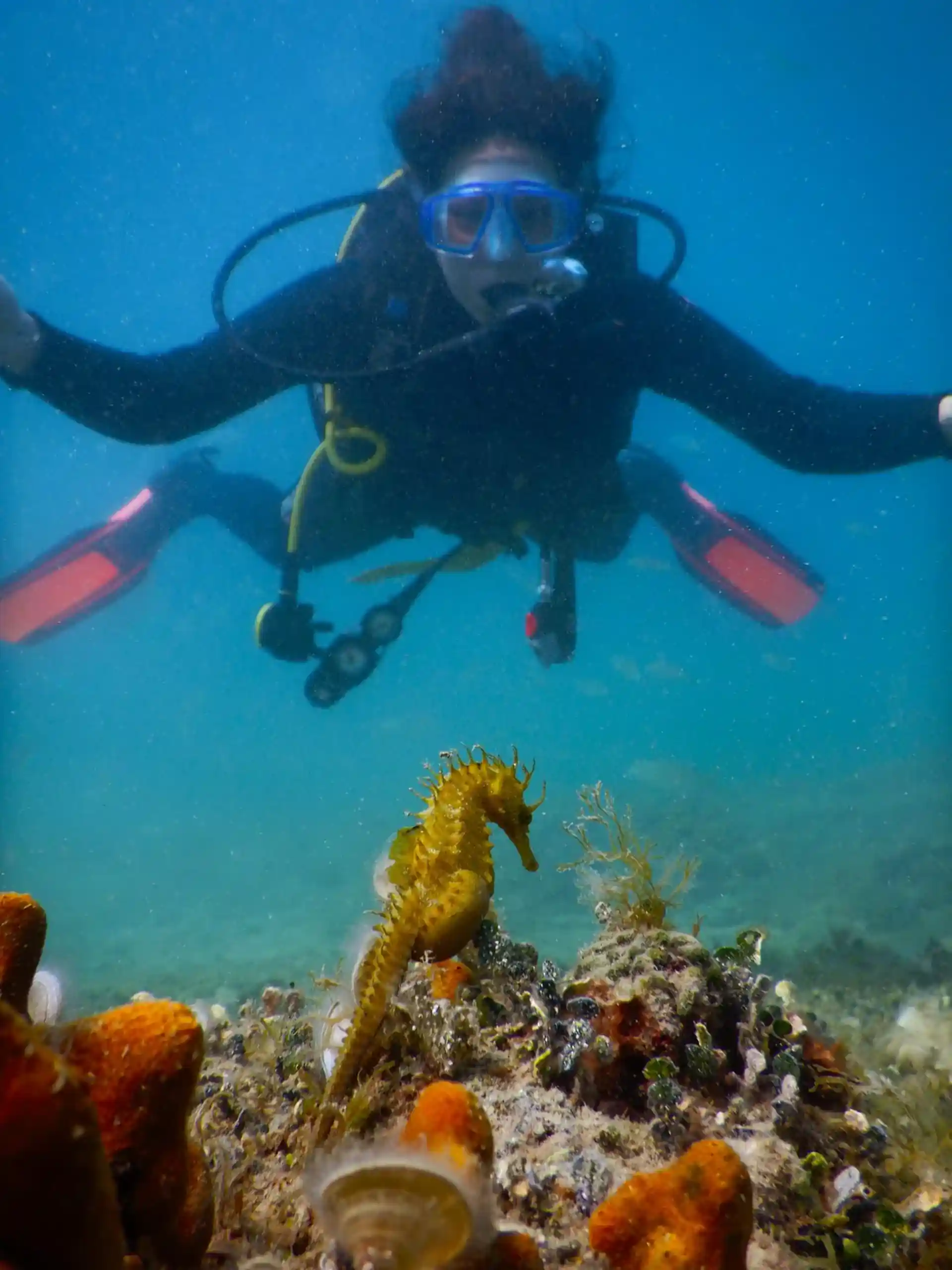 Dive shop photo