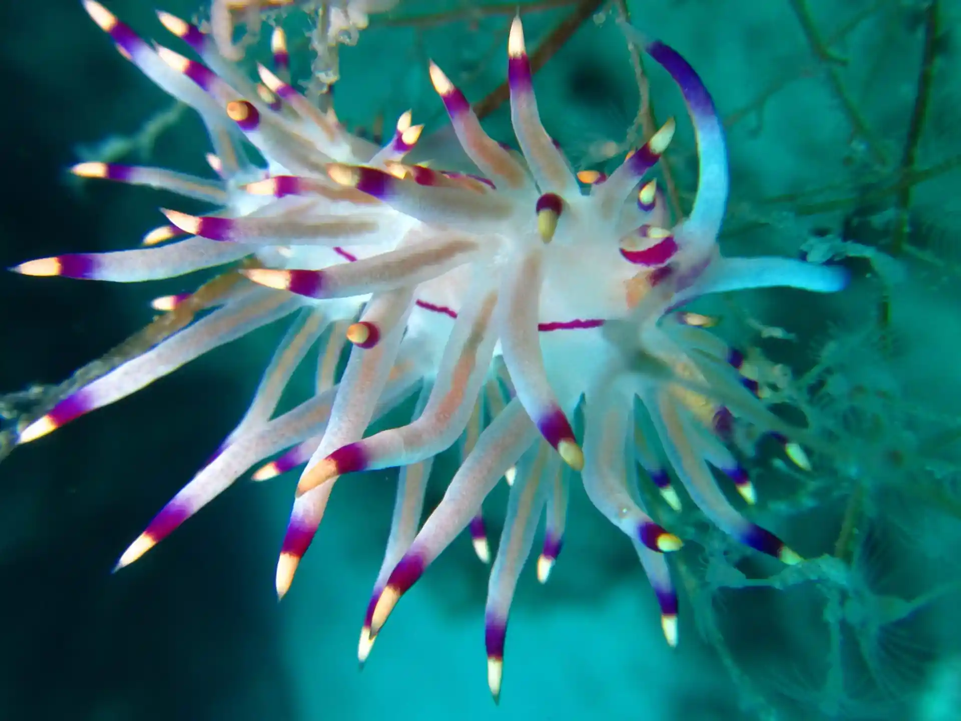 Dive site photo