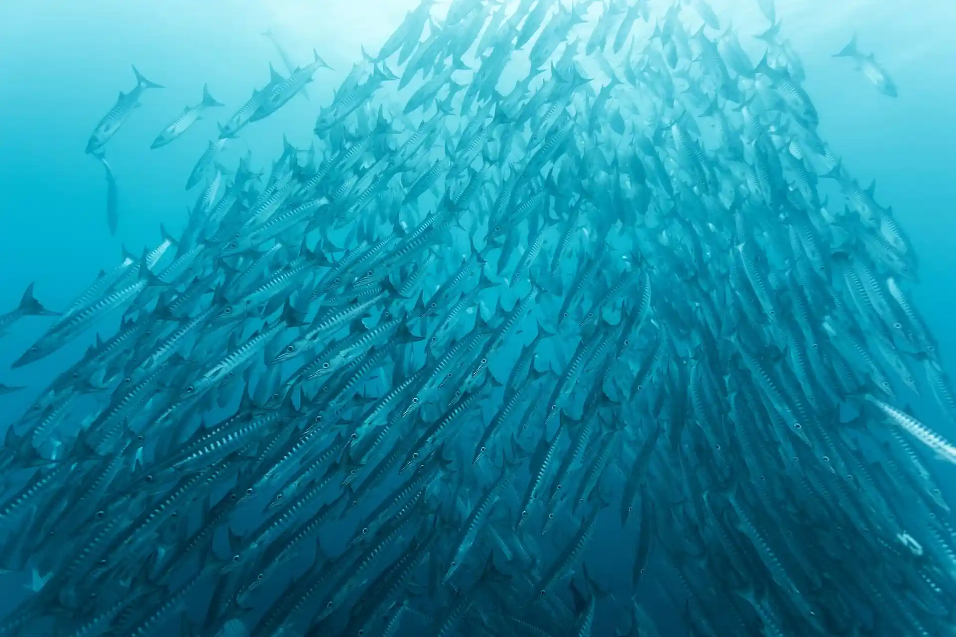 Dive site photo