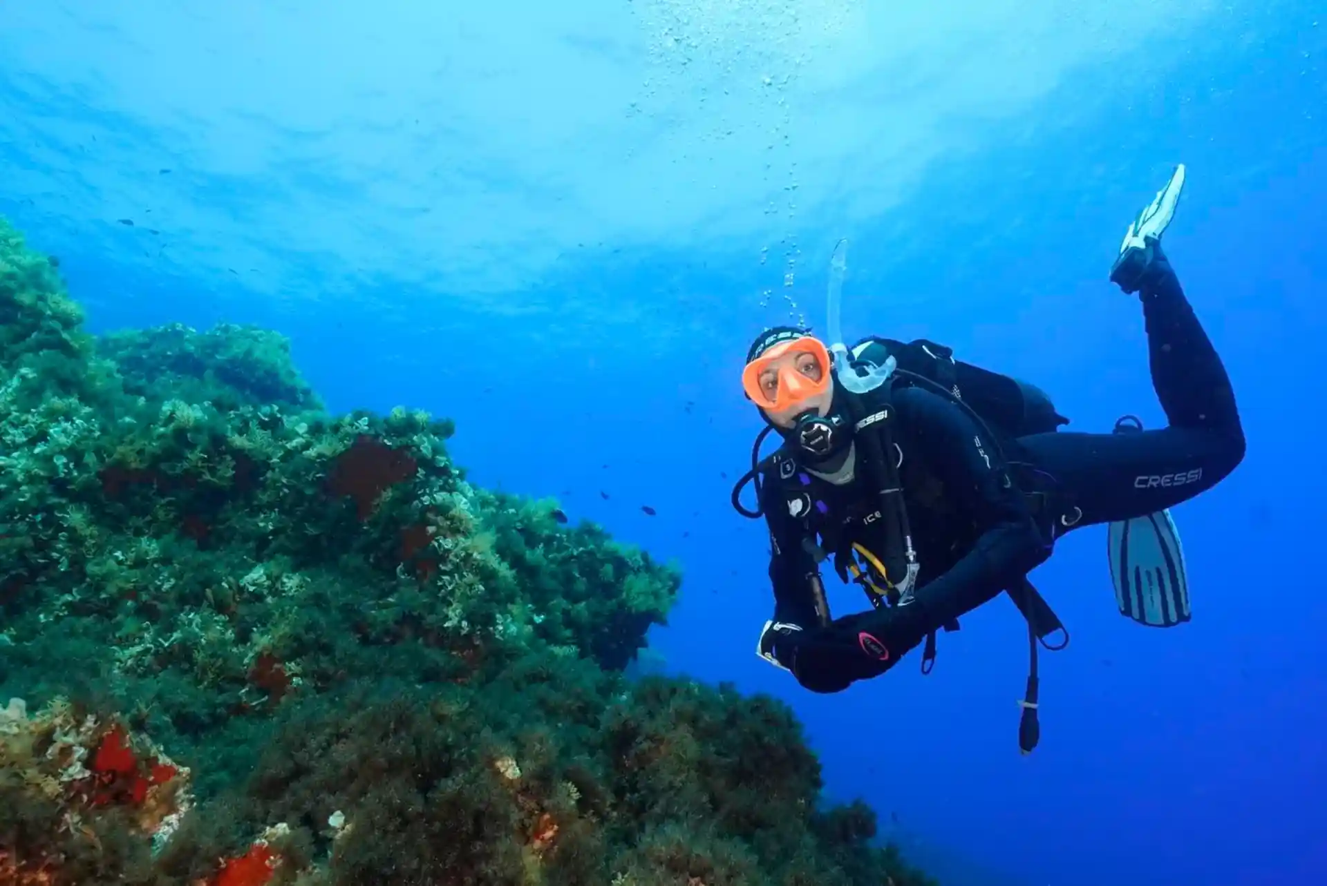 Foto de la tienda de buceo