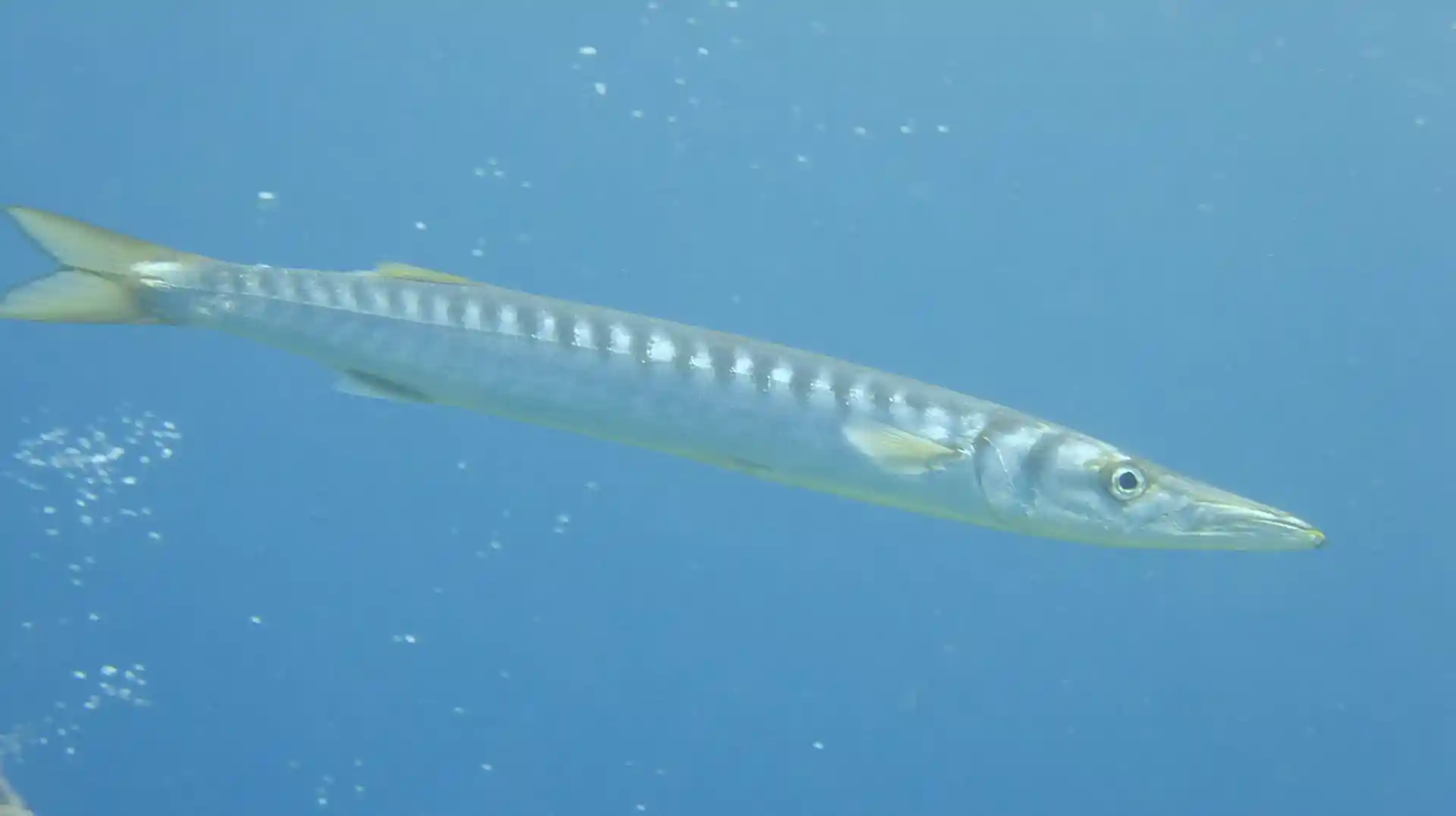 Foto des Tauchplatzes