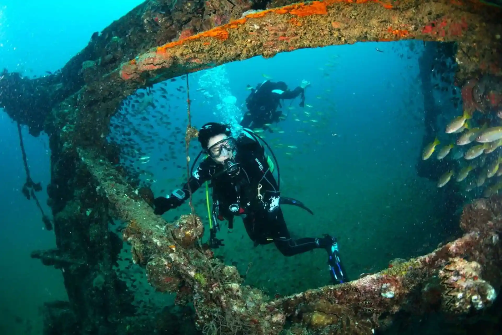 다이빙 포인트 사진